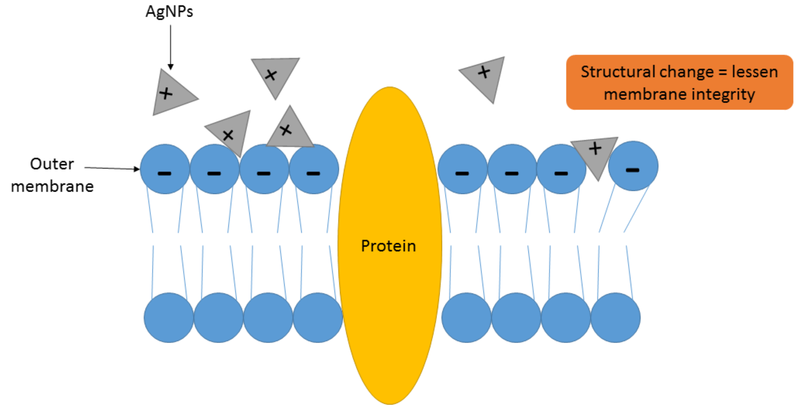 Antibiotics 10 00229 g003 Antibiotics 10 00229 g003