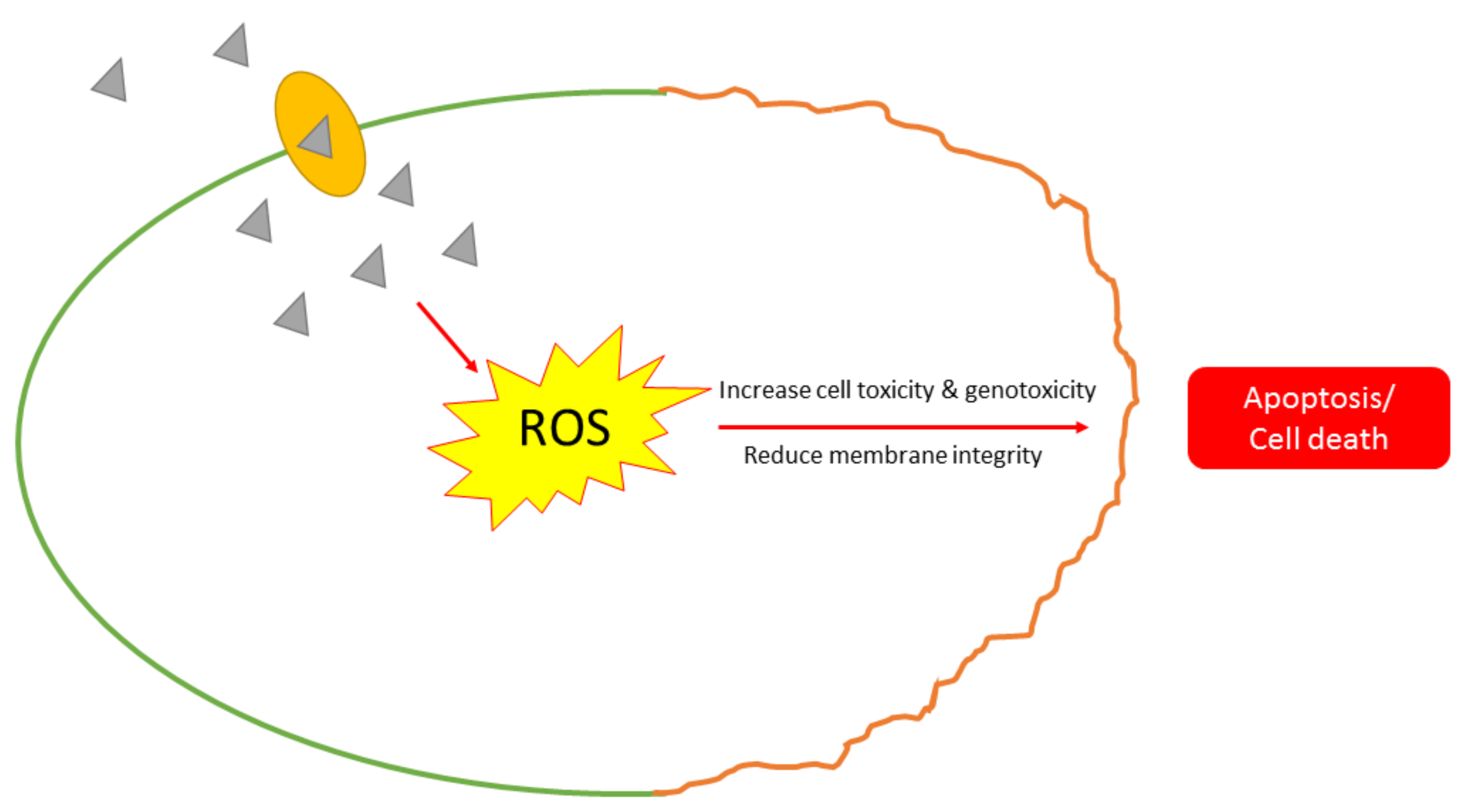 Antibiotics 10 00229 g005 Antibiotics 10 00229 g005