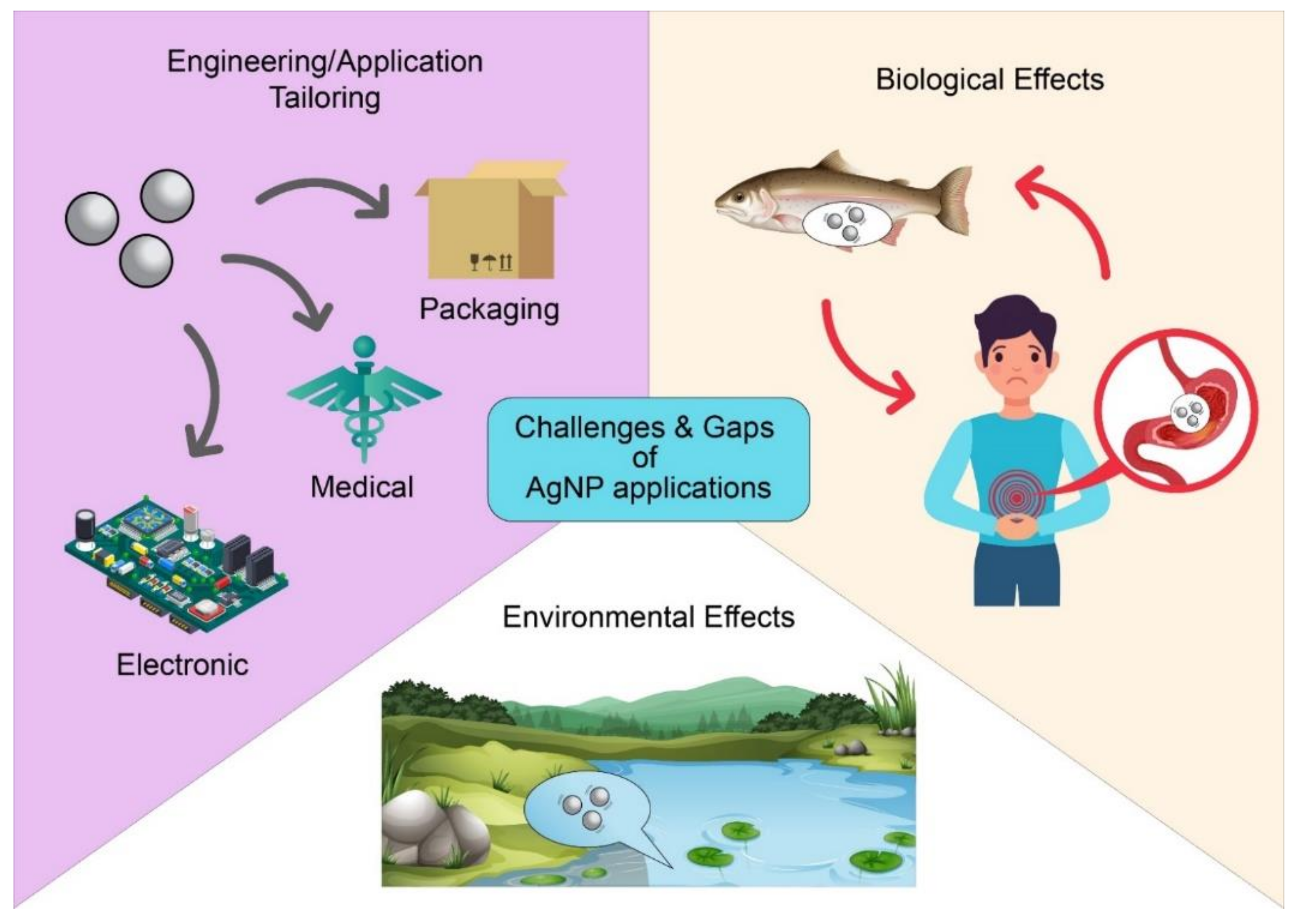 Antibiotics 10 00229 g008 Antibiotics 10 00229 g008