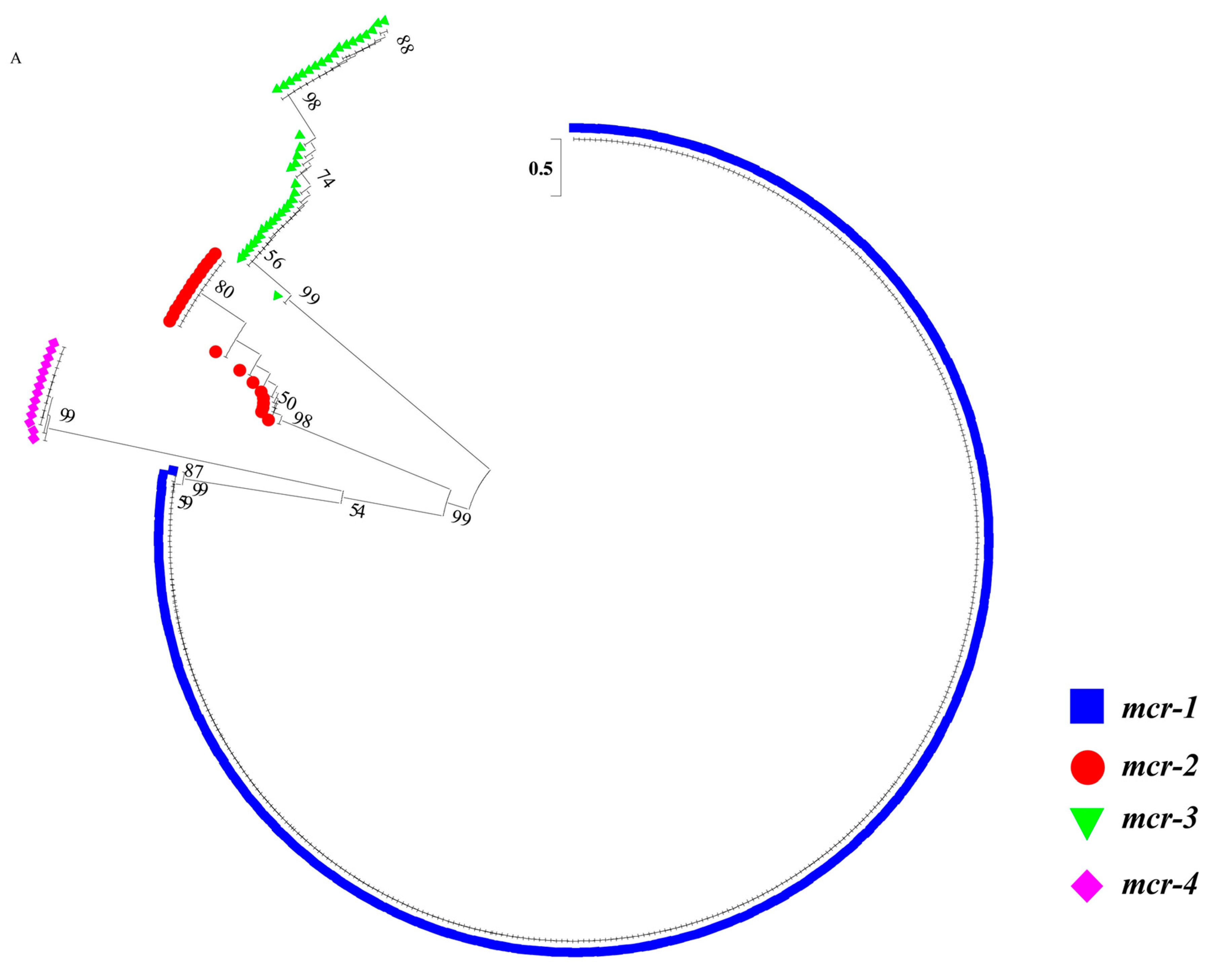 Antibiotics 10 00233 g003a Antibiotics 10 00233 g003a