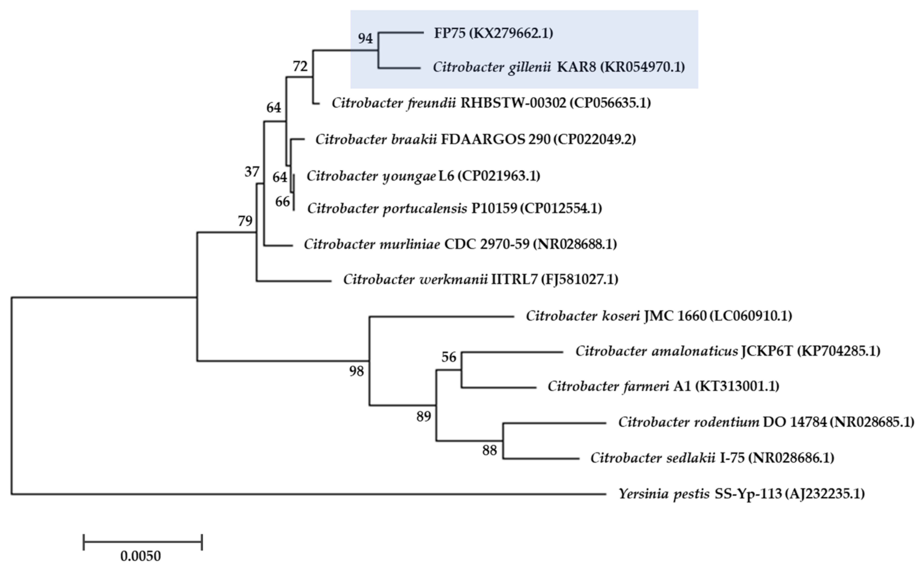 Antibiotics 10 00236 g001 Antibiotics 10 00236 g001
