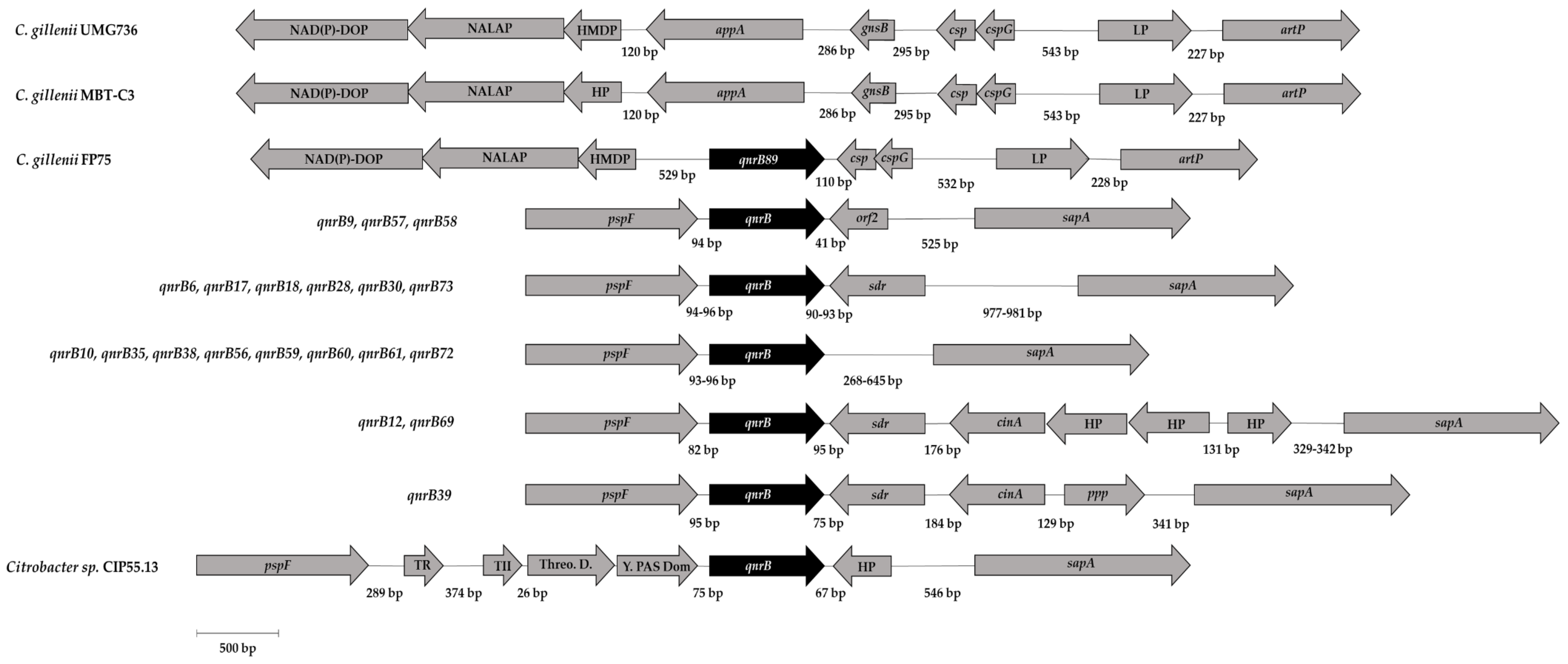 Antibiotics 10 00236 g002 Antibiotics 10 00236 g002