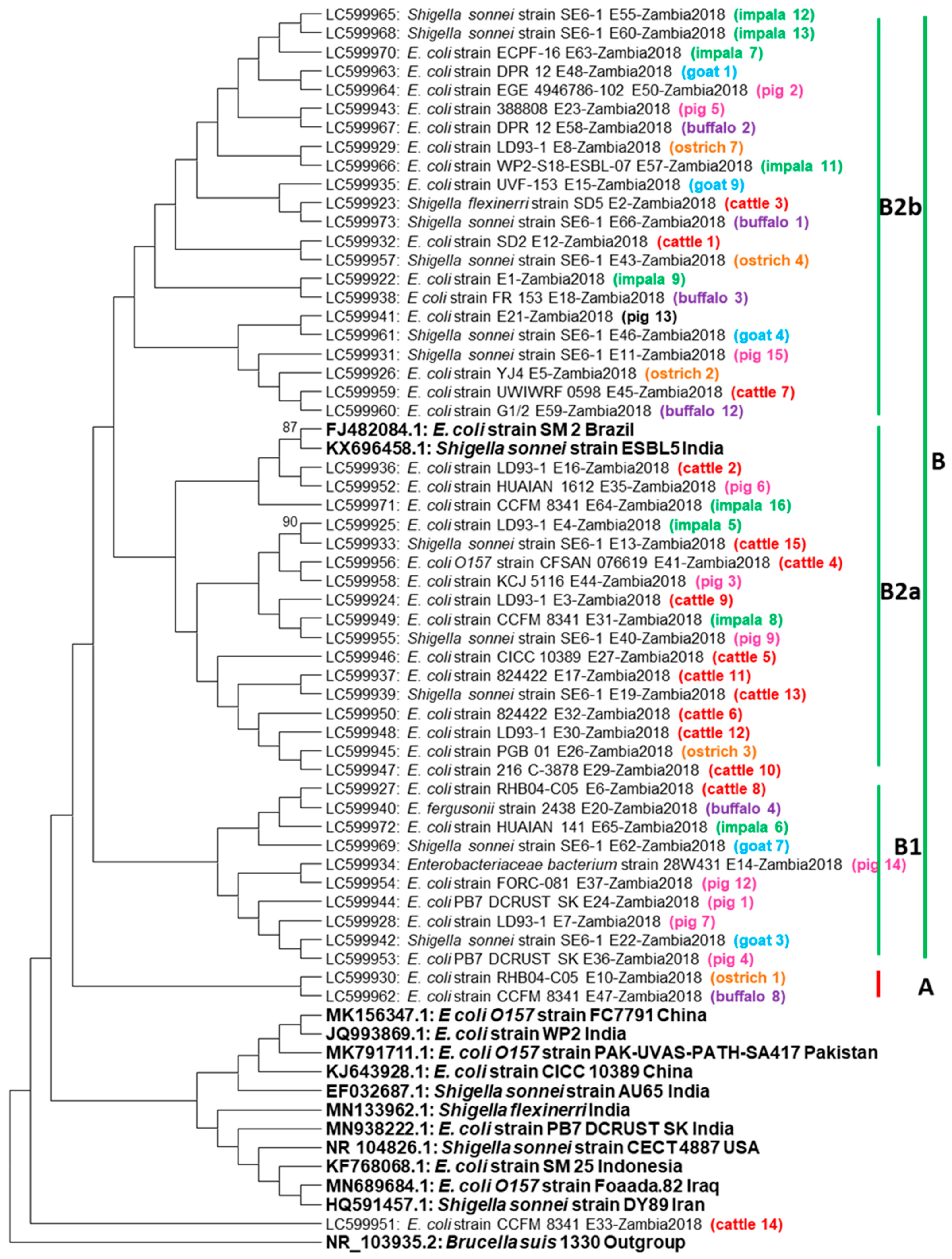 Antibiotics 10 00238 g001 Antibiotics 10 00238 g001