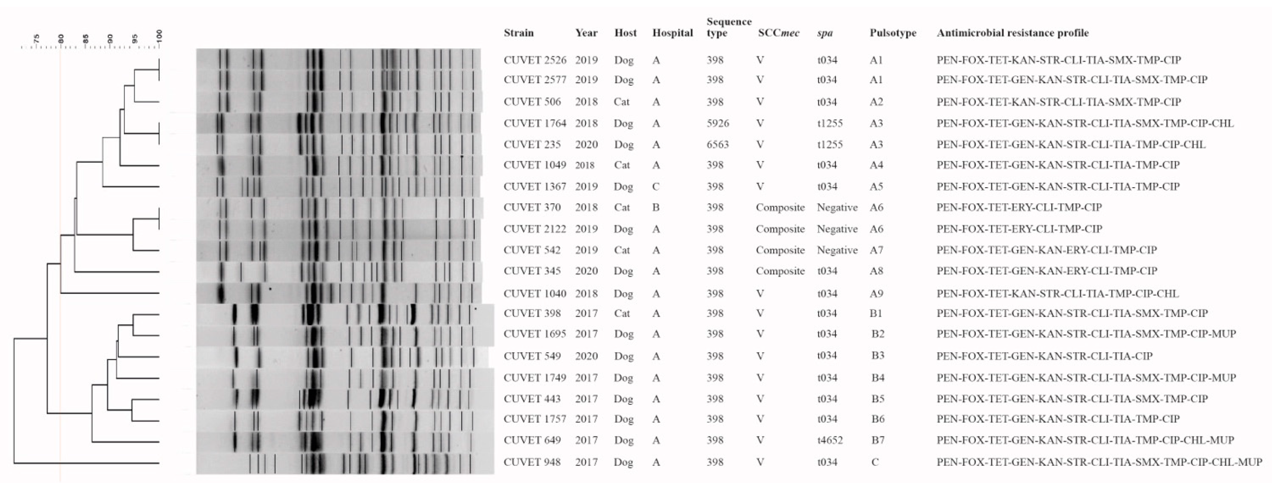 Antibiotics 10 00243 g001 Antibiotics 10 00243 g001