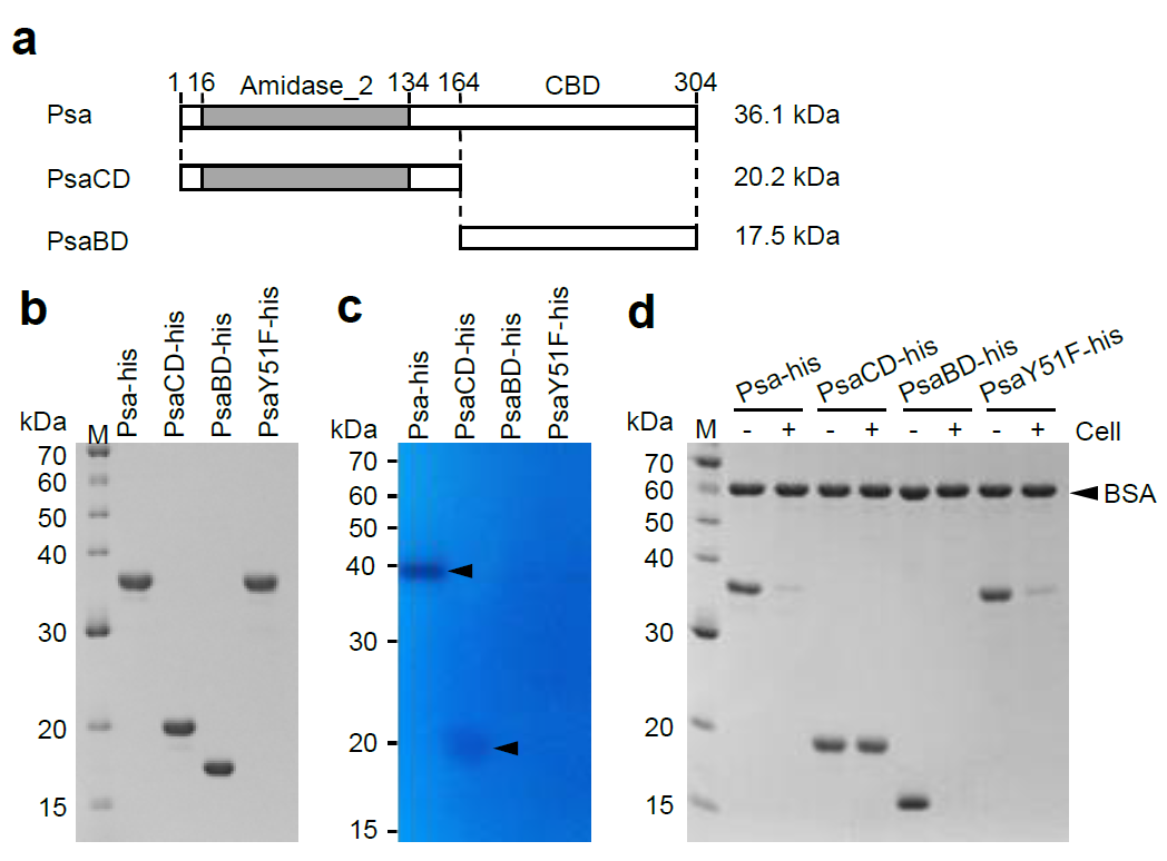 Antibiotics 10 00245 g002