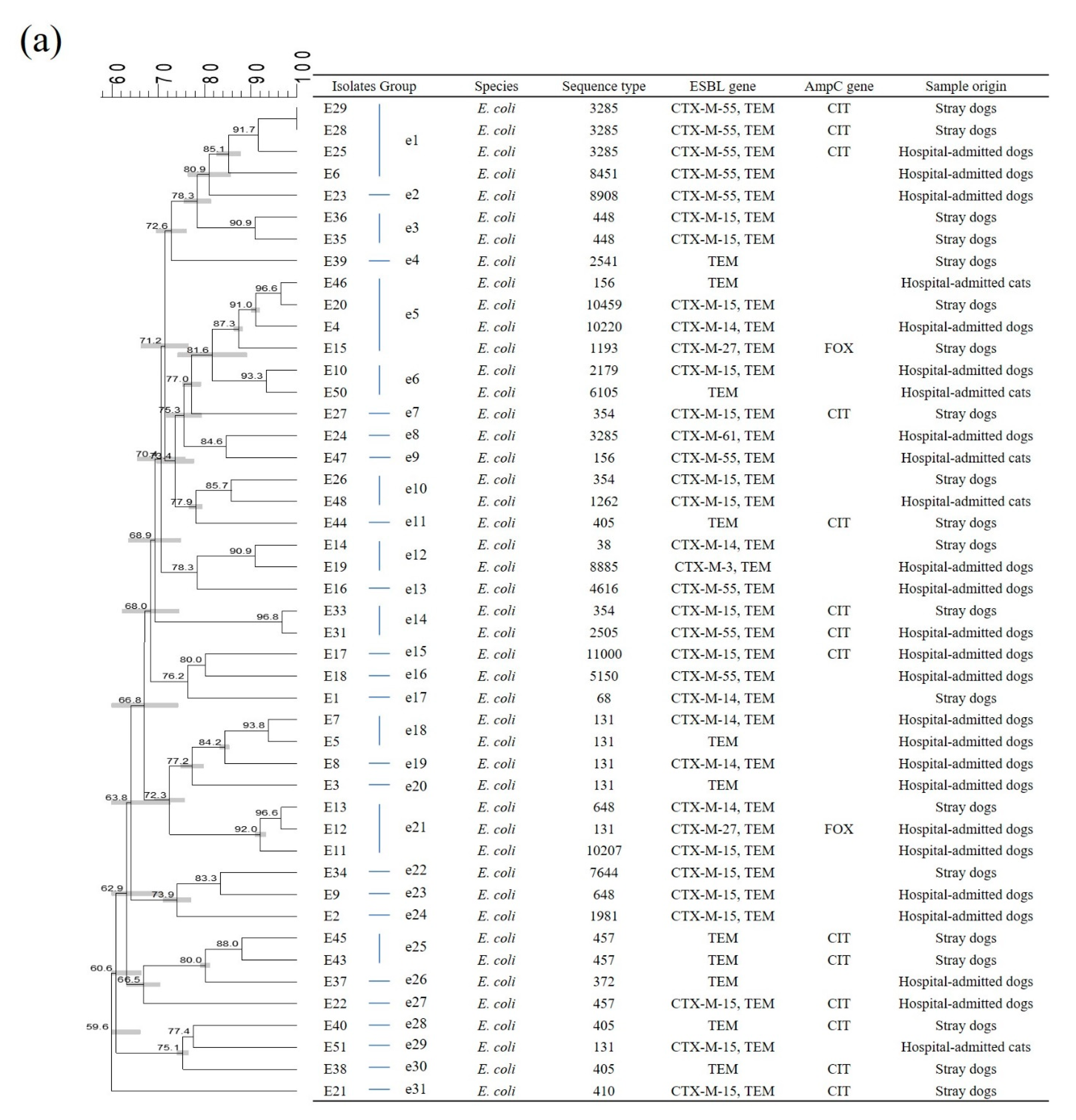 Antibiotics 10 00249 g001a Antibiotics 10 00249 g001a