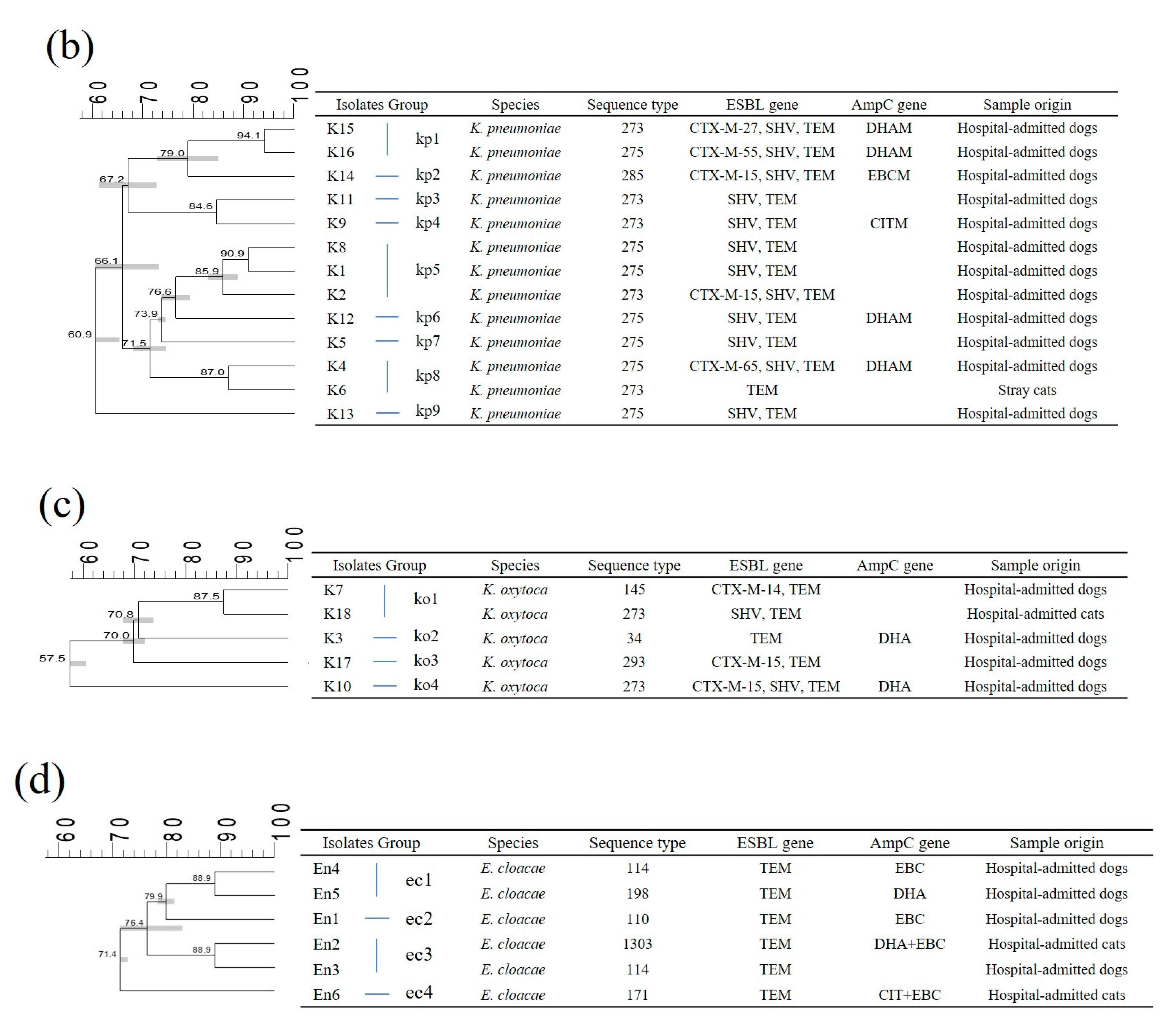 Antibiotics 10 00249 g001b Antibiotics 10 00249 g001b