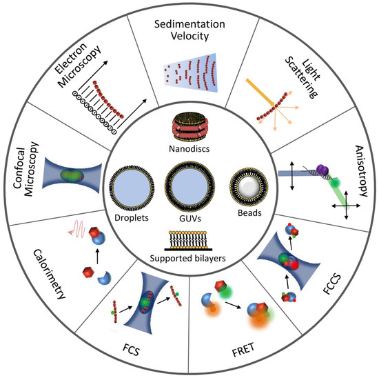 Antibiotics 10 00254 g003 550