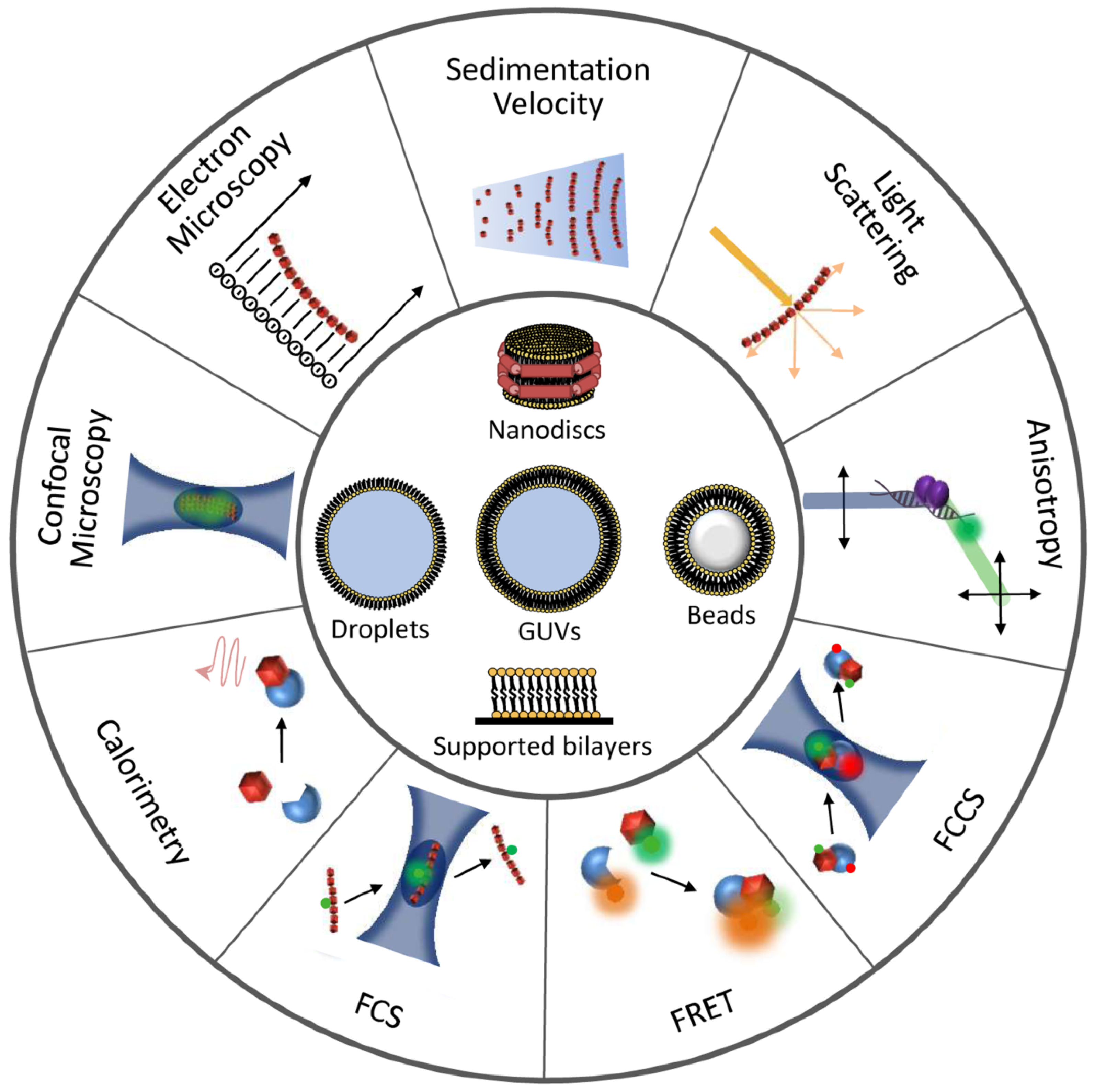 Antibiotics 10 00254 g003