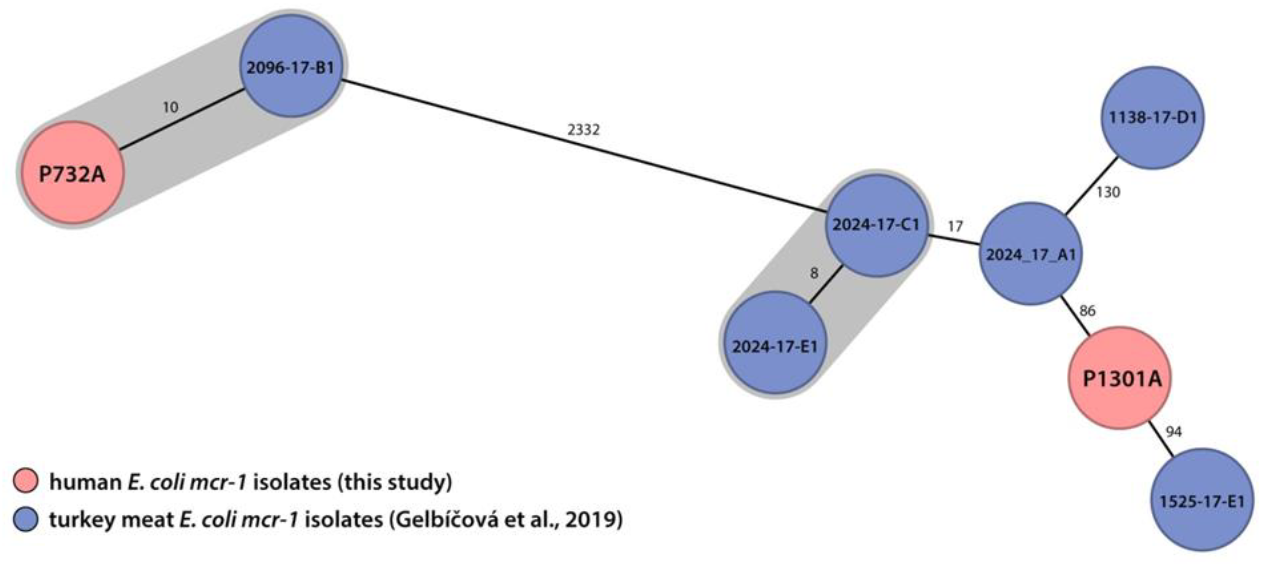 Antibiotics 10 00258 g002 Antibiotics 10 00258 g002