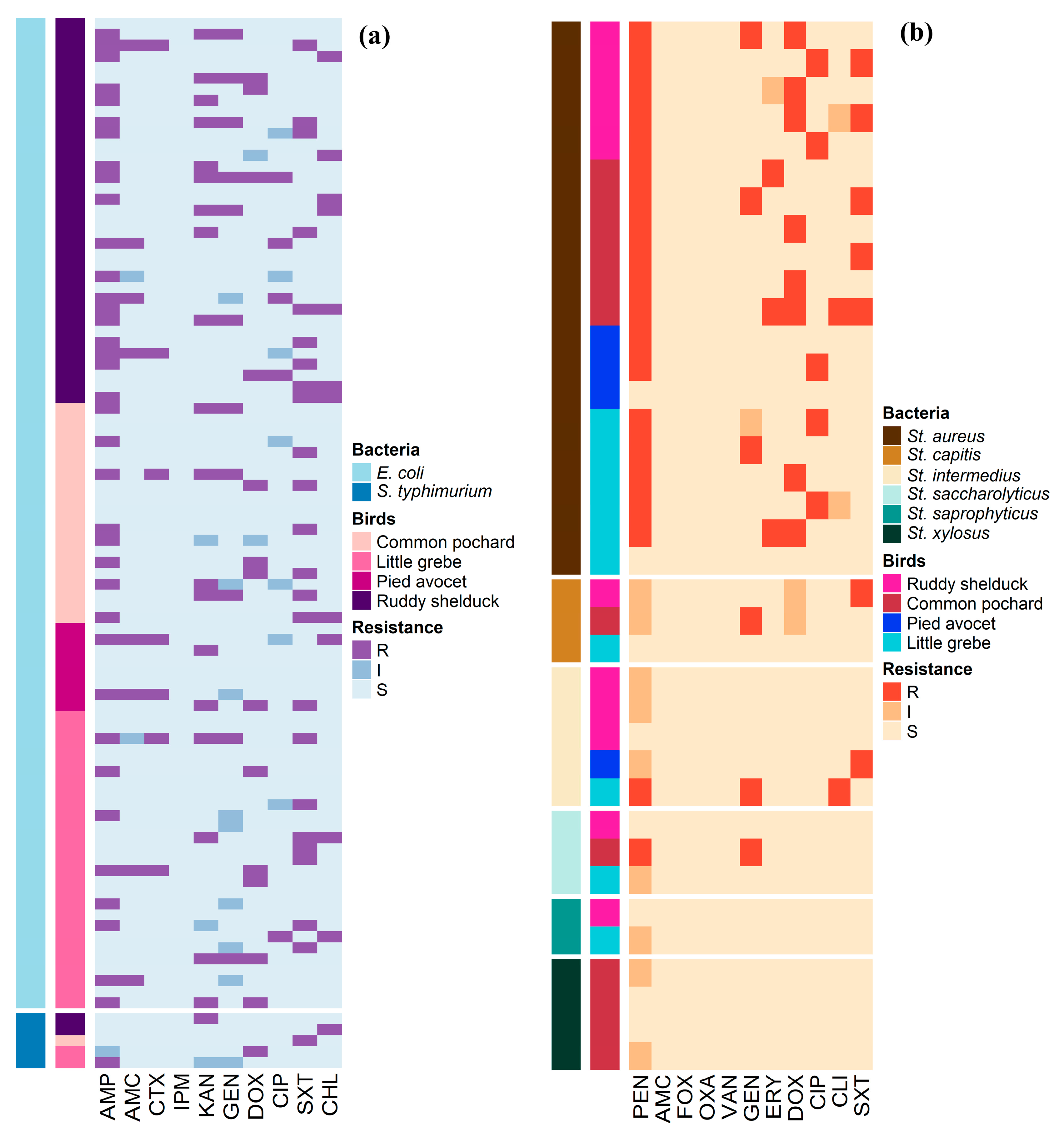 Antibiotics 10 00260 g001 Antibiotics 10 00260 g001