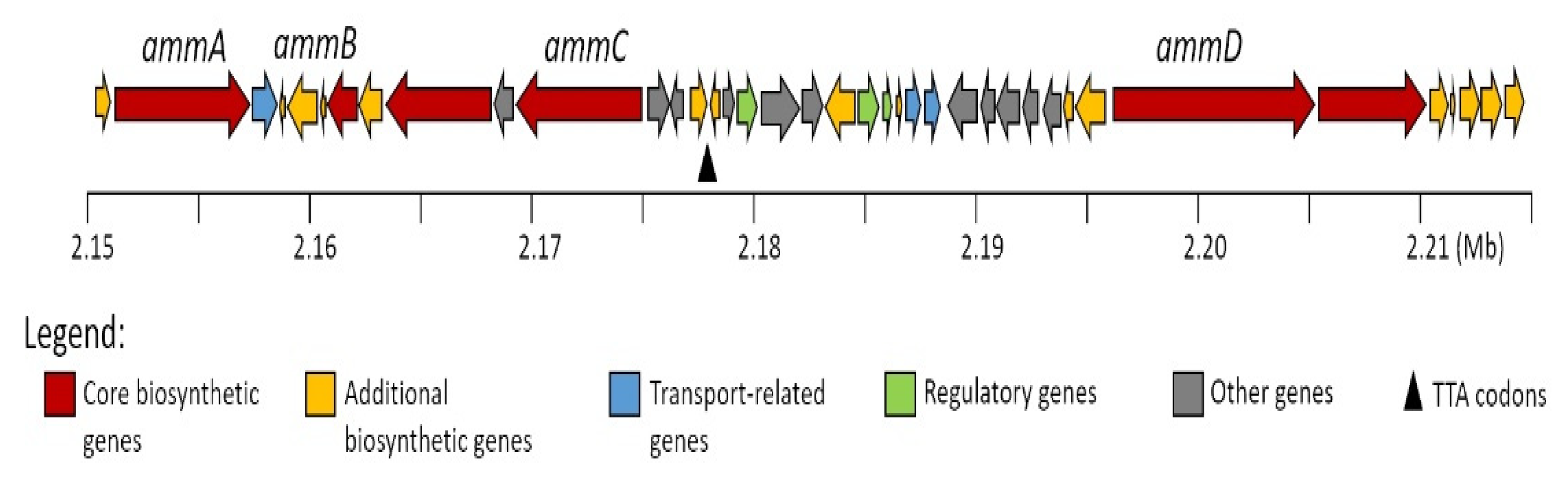 Antibiotics 10 00261 g002