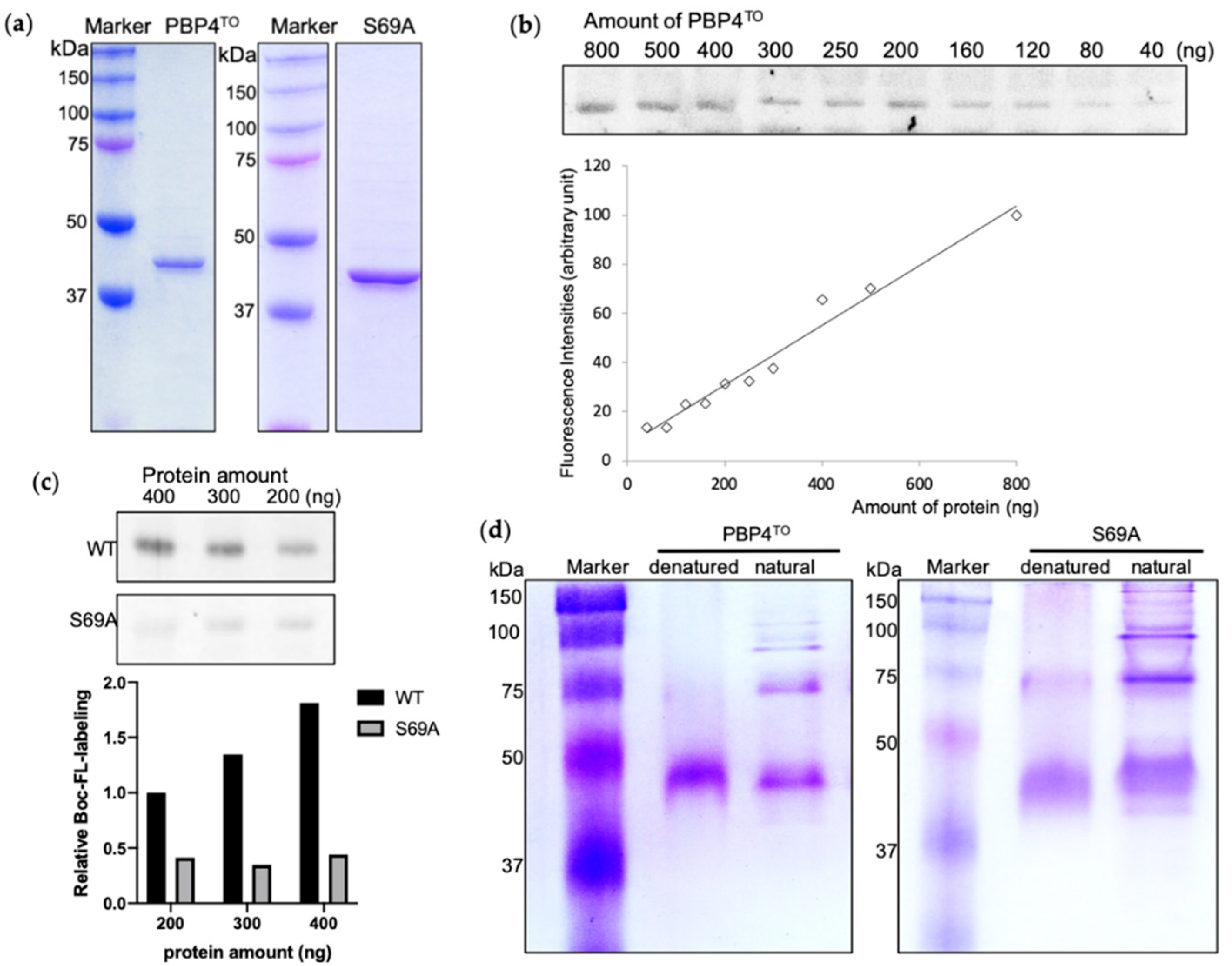 Antibiotics 10 00274 g005 Antibiotics 10 00274 g005