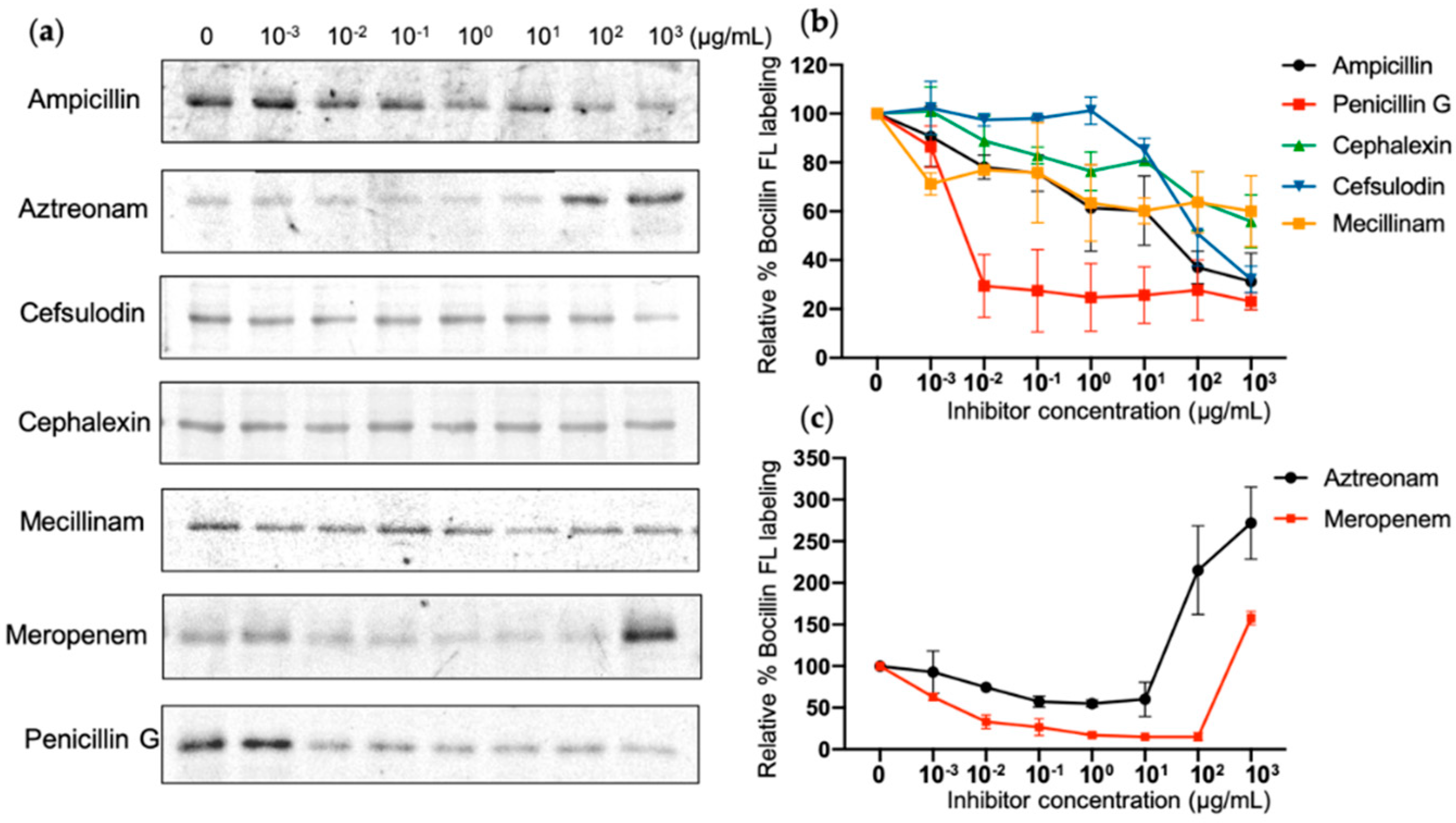 Antibiotics 10 00274 g006 Antibiotics 10 00274 g006