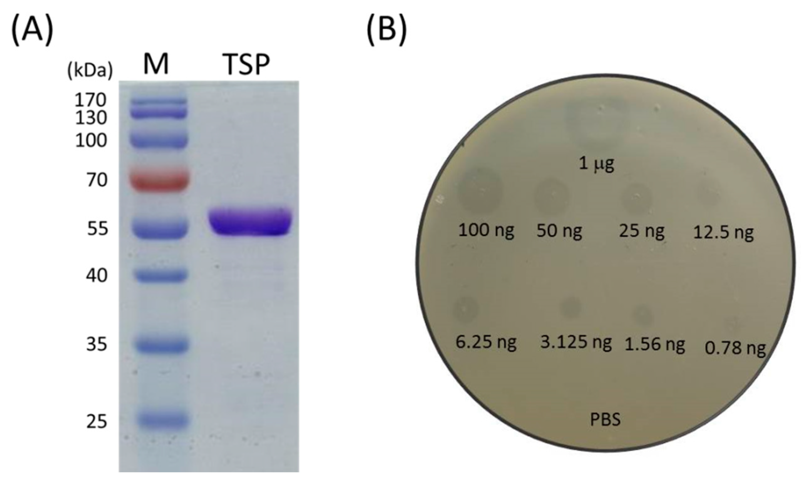 Antibiotics 10 00279 g001 Antibiotics 10 00279 g001