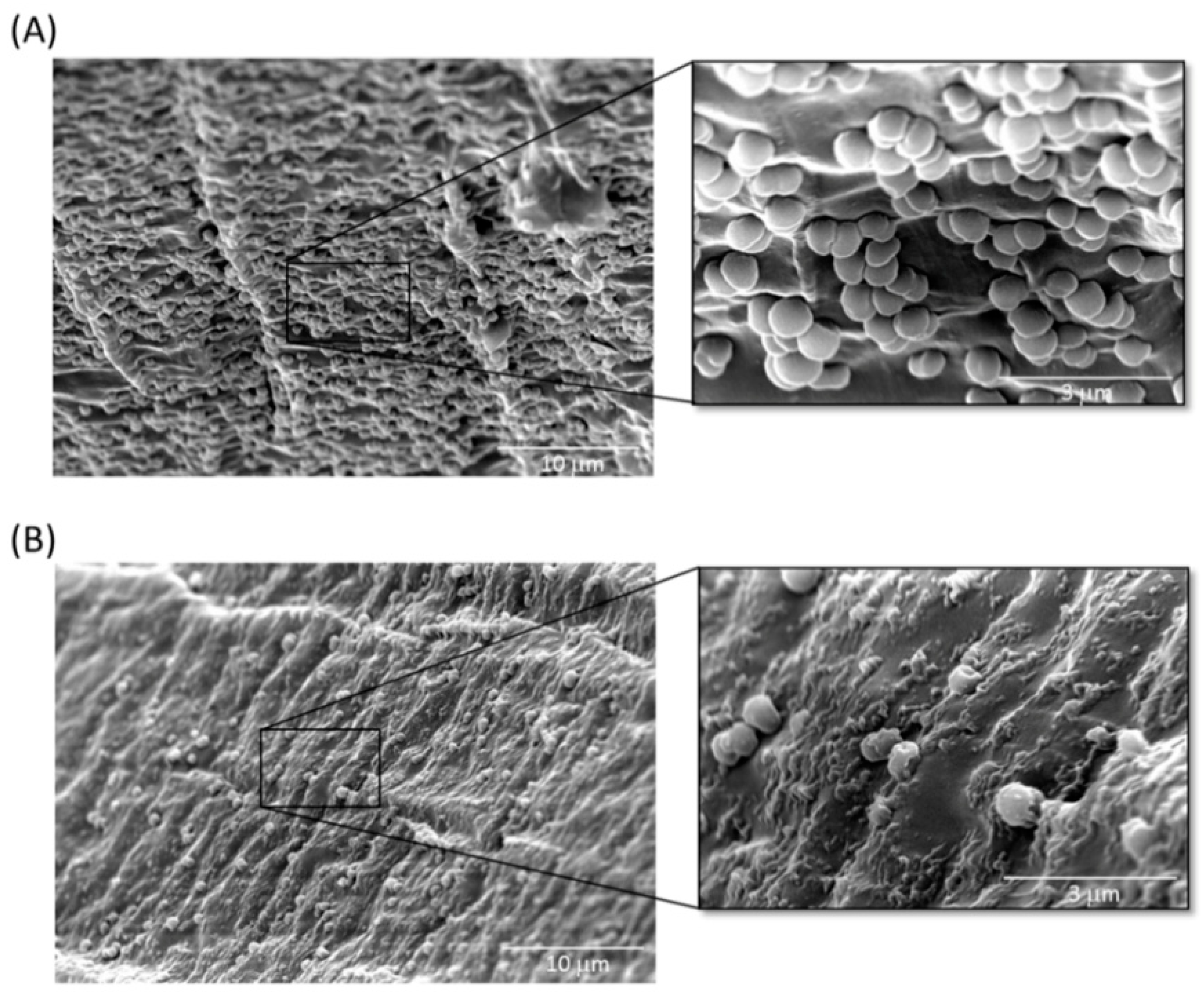 Antibiotics 10 00279 g008 Antibiotics 10 00279 g008