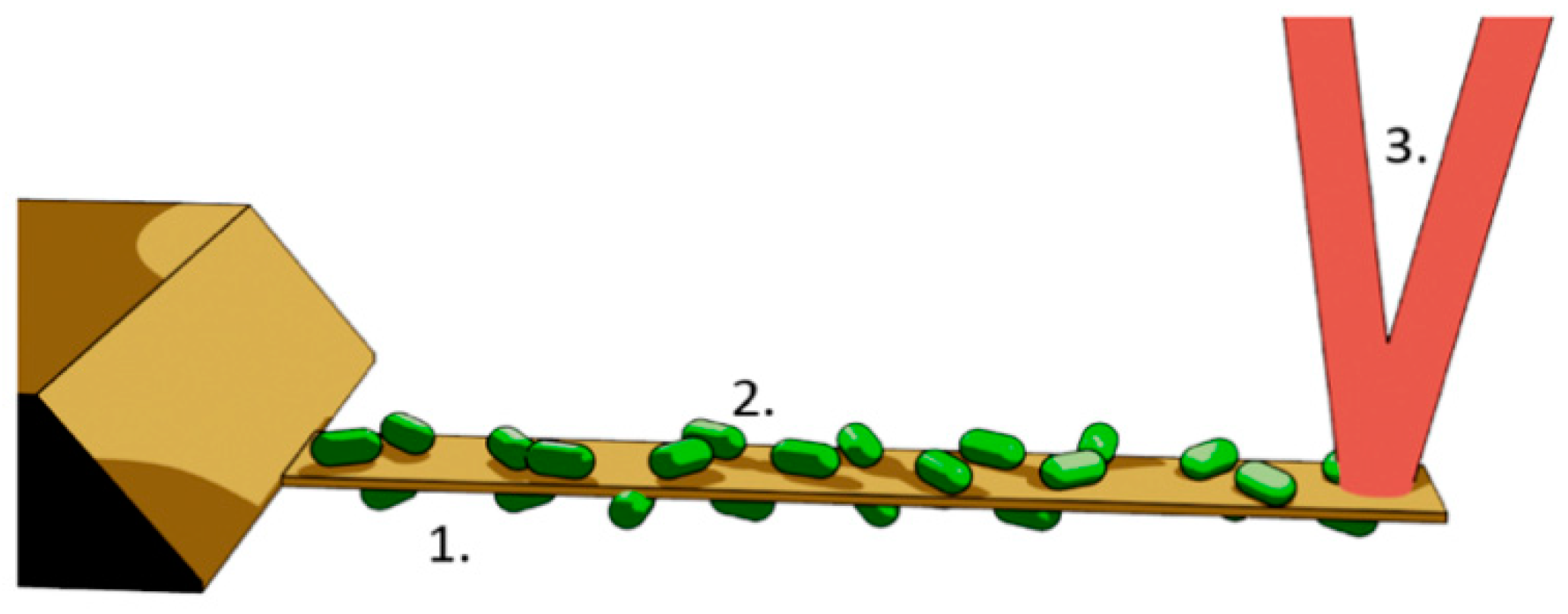 Antibiotics 10 00287 g002 Antibiotics 10 00287 g002