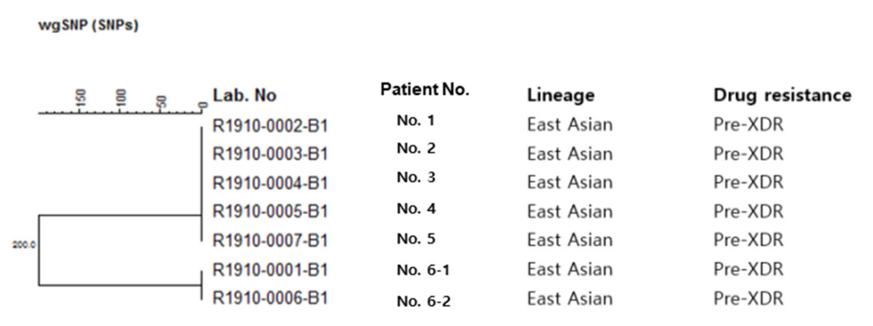 Antibiotics 10 00297 g001 Antibiotics 10 00297 g001