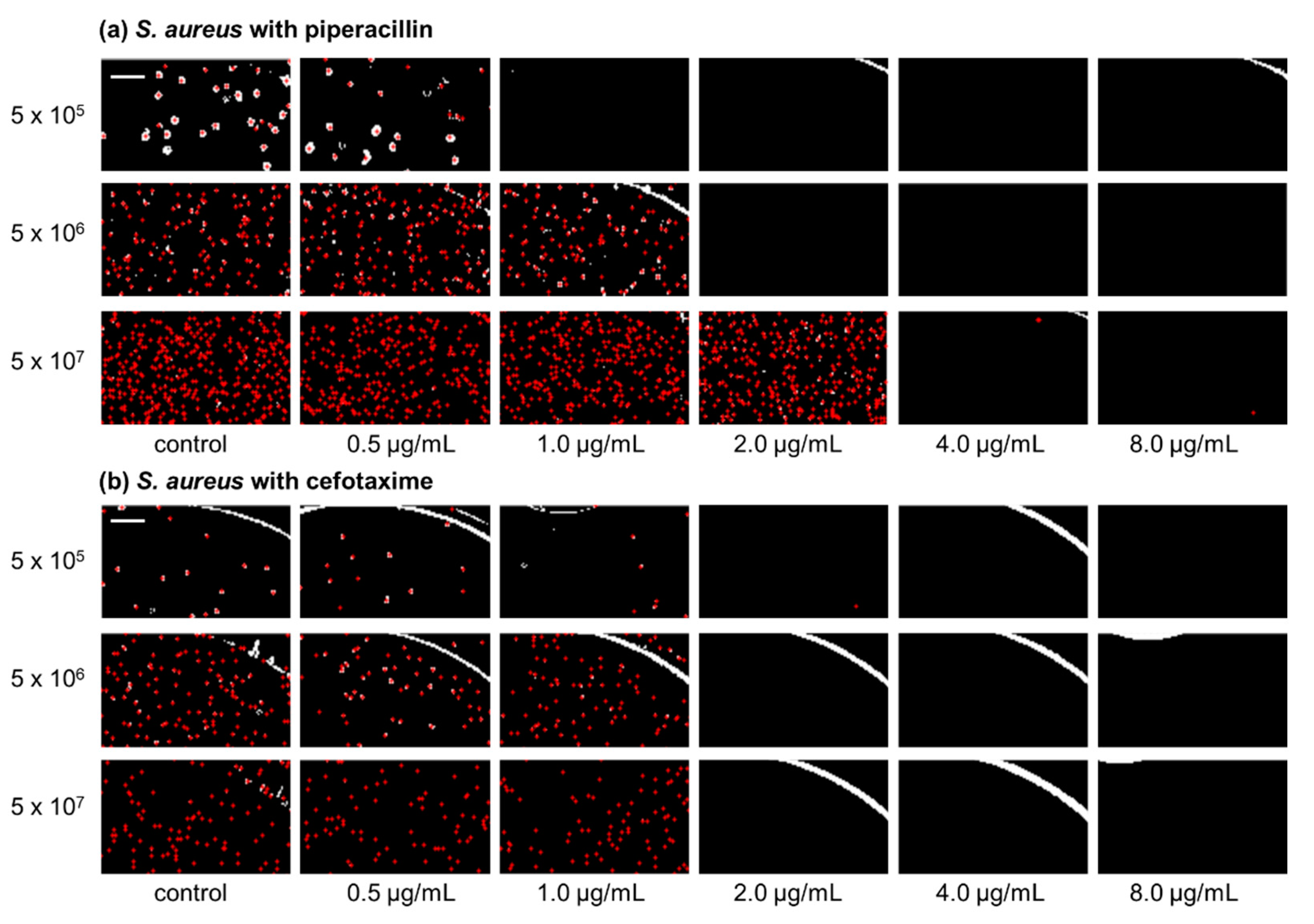 Antibiotics 10 00300 g001 Antibiotics 10 00300 g001