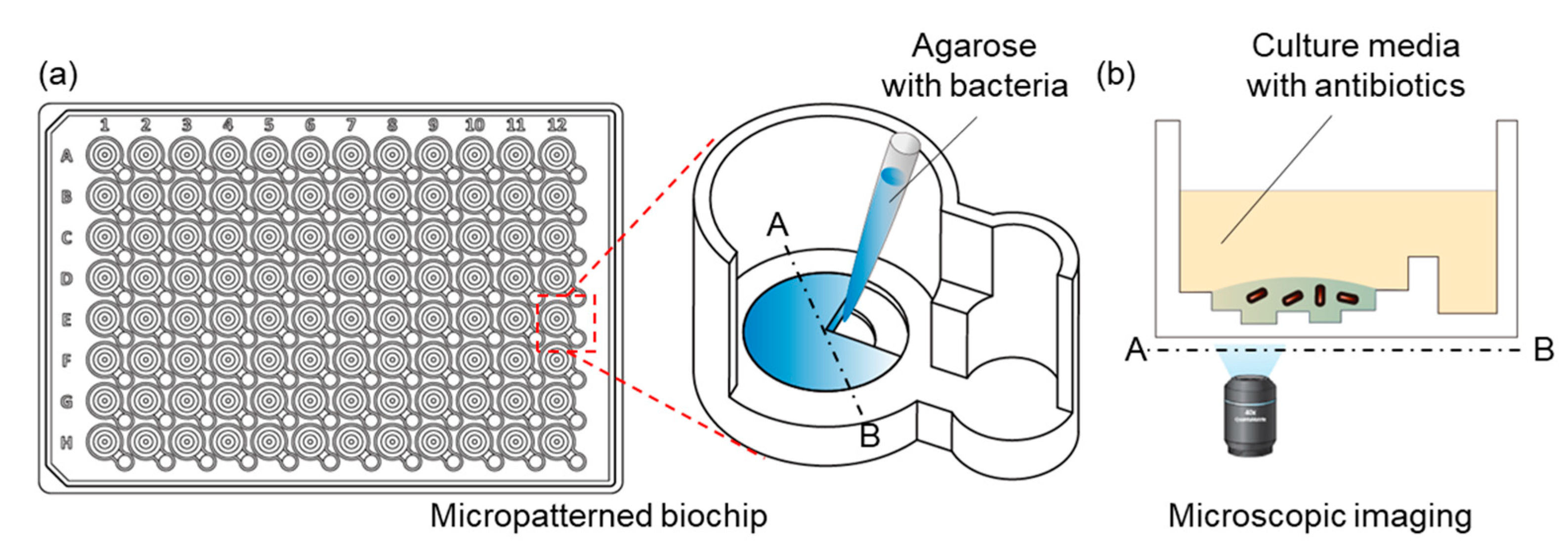 Antibiotics 10 00300 g002 Antibiotics 10 00300 g002