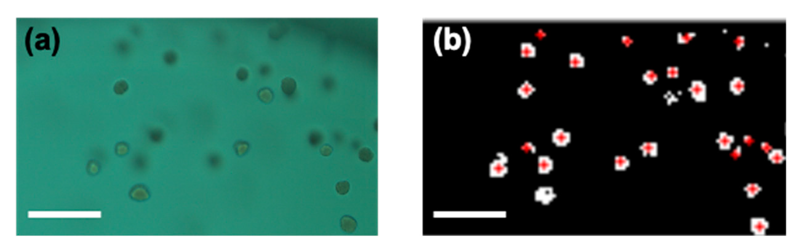 Antibiotics 10 00300 g003 Antibiotics 10 00300 g003