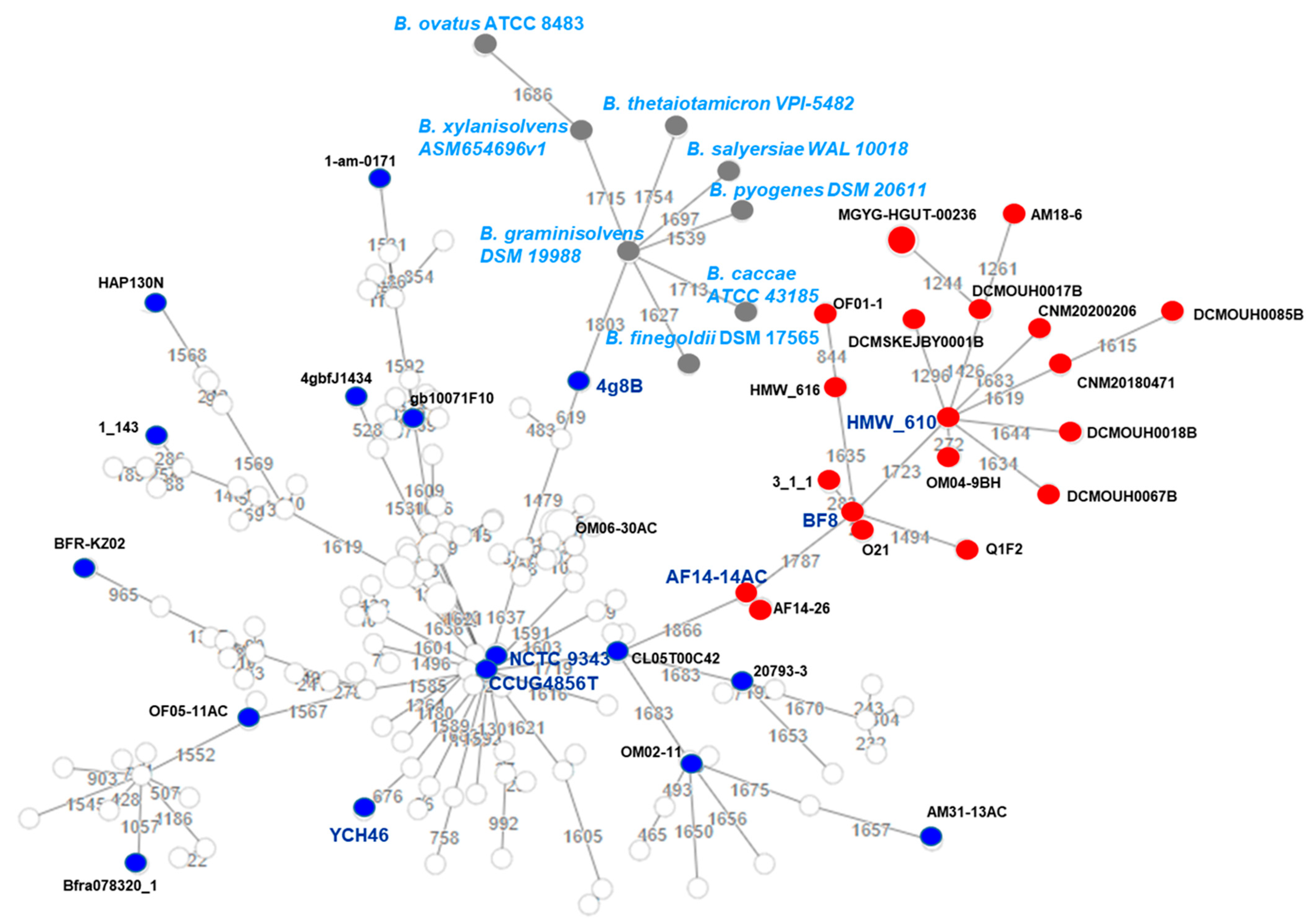 Antibiotics 10 00304 g002 Antibiotics 10 00304 g002