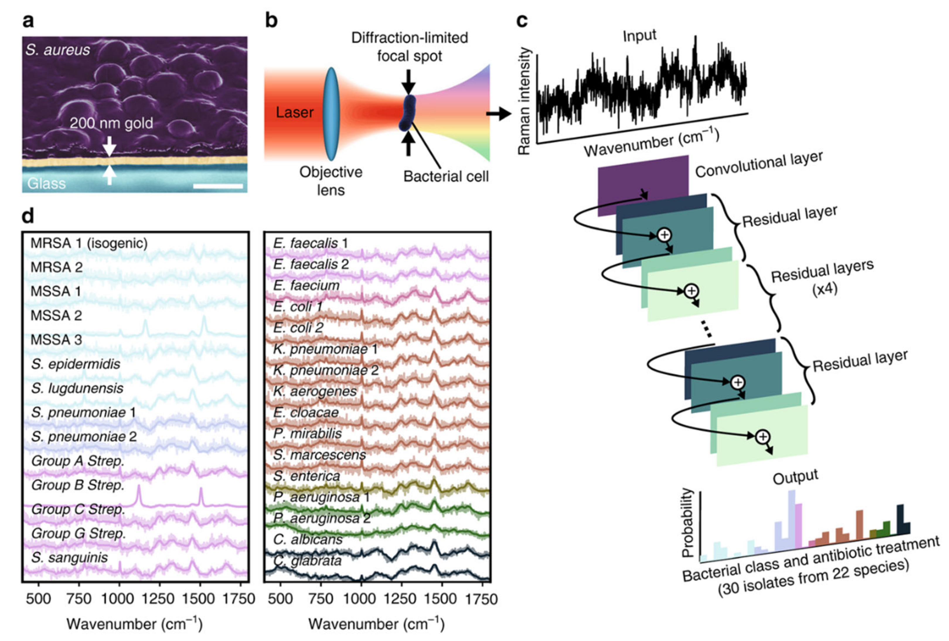 Antibiotics 10 00311 g003 Antibiotics 10 00311 g003