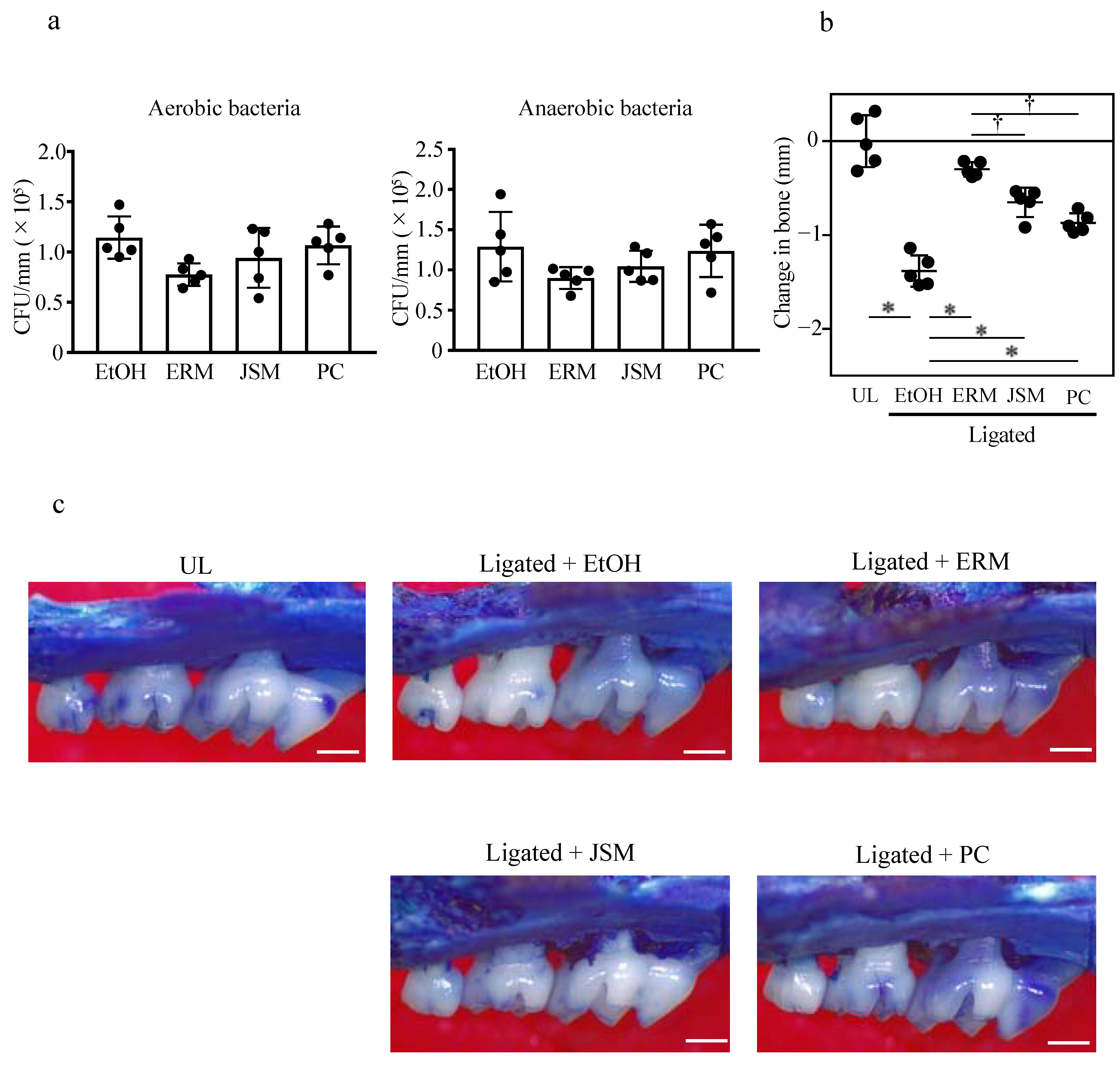Antibiotics 10 00312 g001 Antibiotics 10 00312 g001