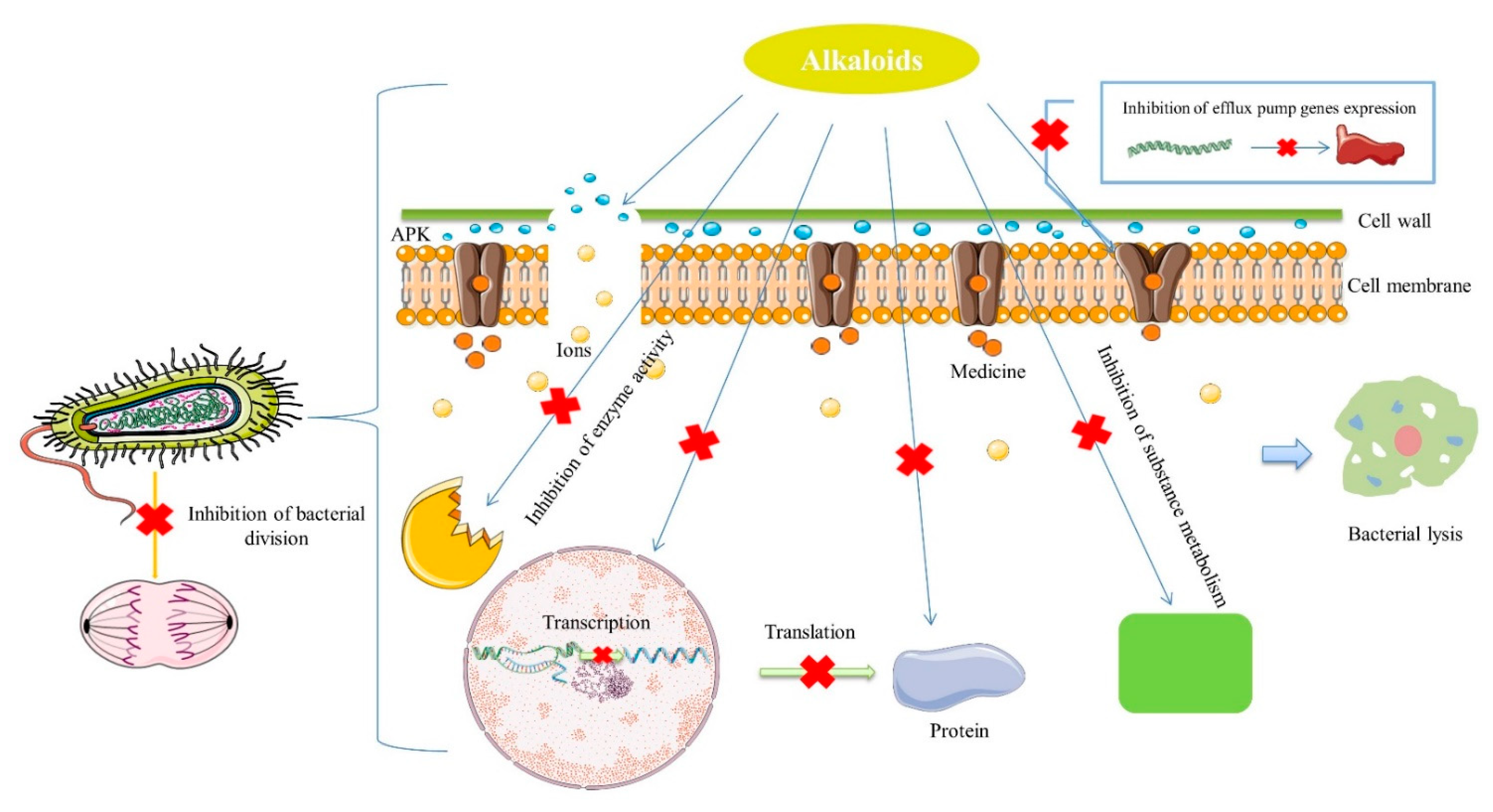 Antibiotics 10 00318 g001 Antibiotics 10 00318 g001