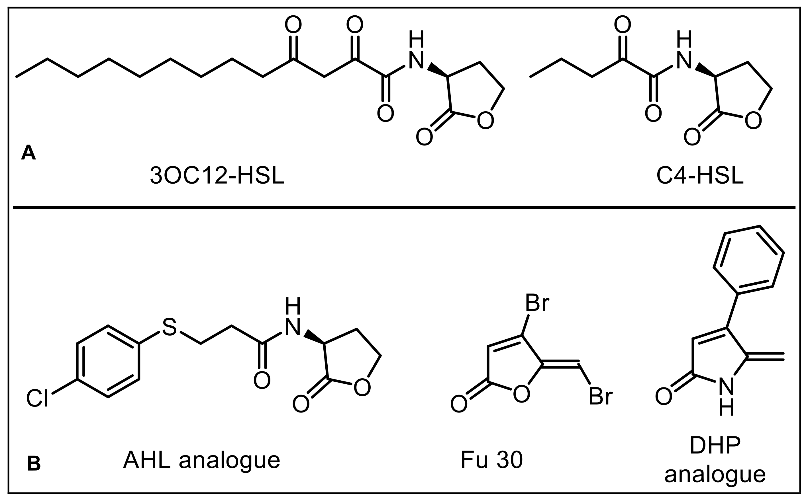 Antibiotics 10 00321 g001 Antibiotics 10 00321 g001