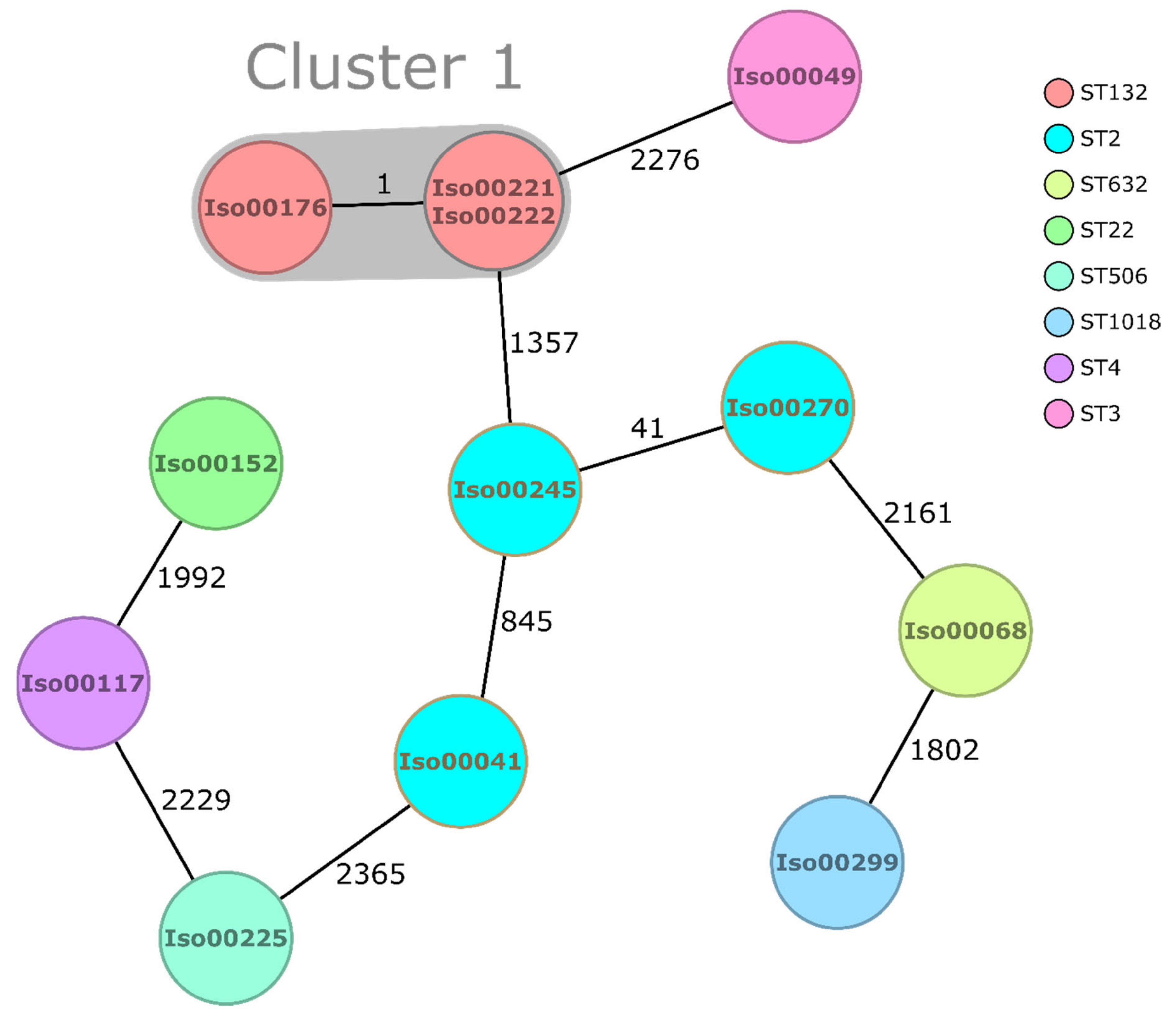 Antibiotics 10 00339 g003 Antibiotics 10 00339 g003