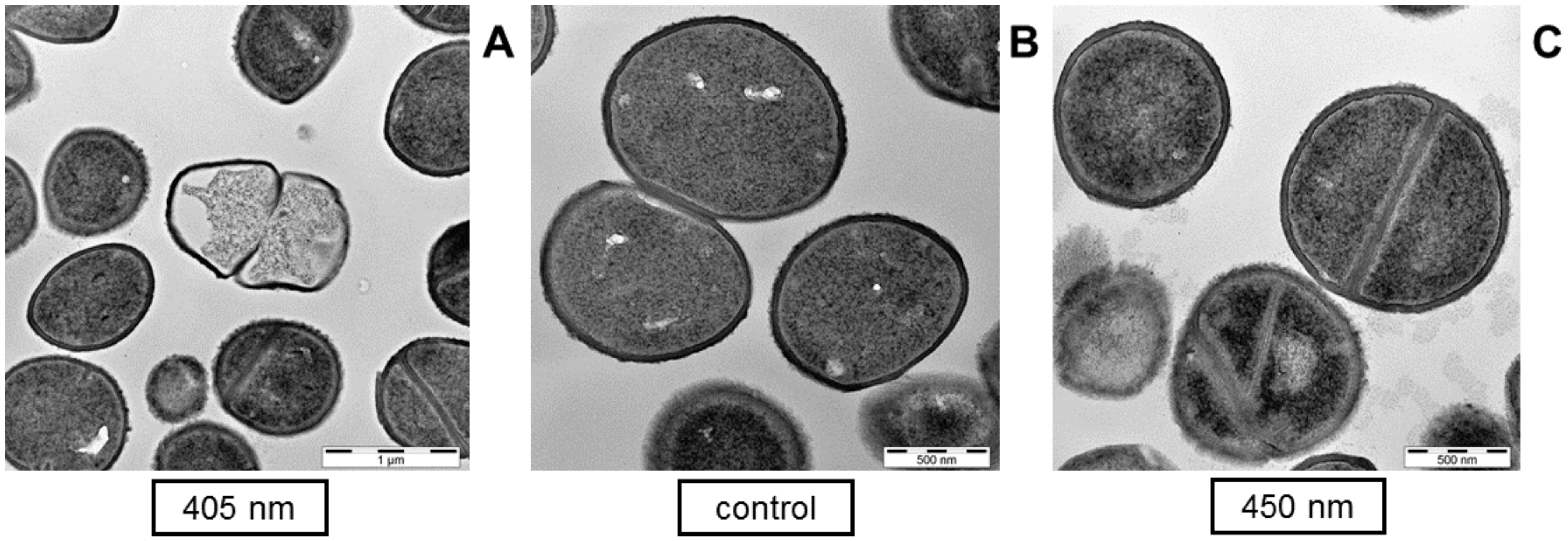 Antibiotics 10 00341 g004 Antibiotics 10 00341 g004