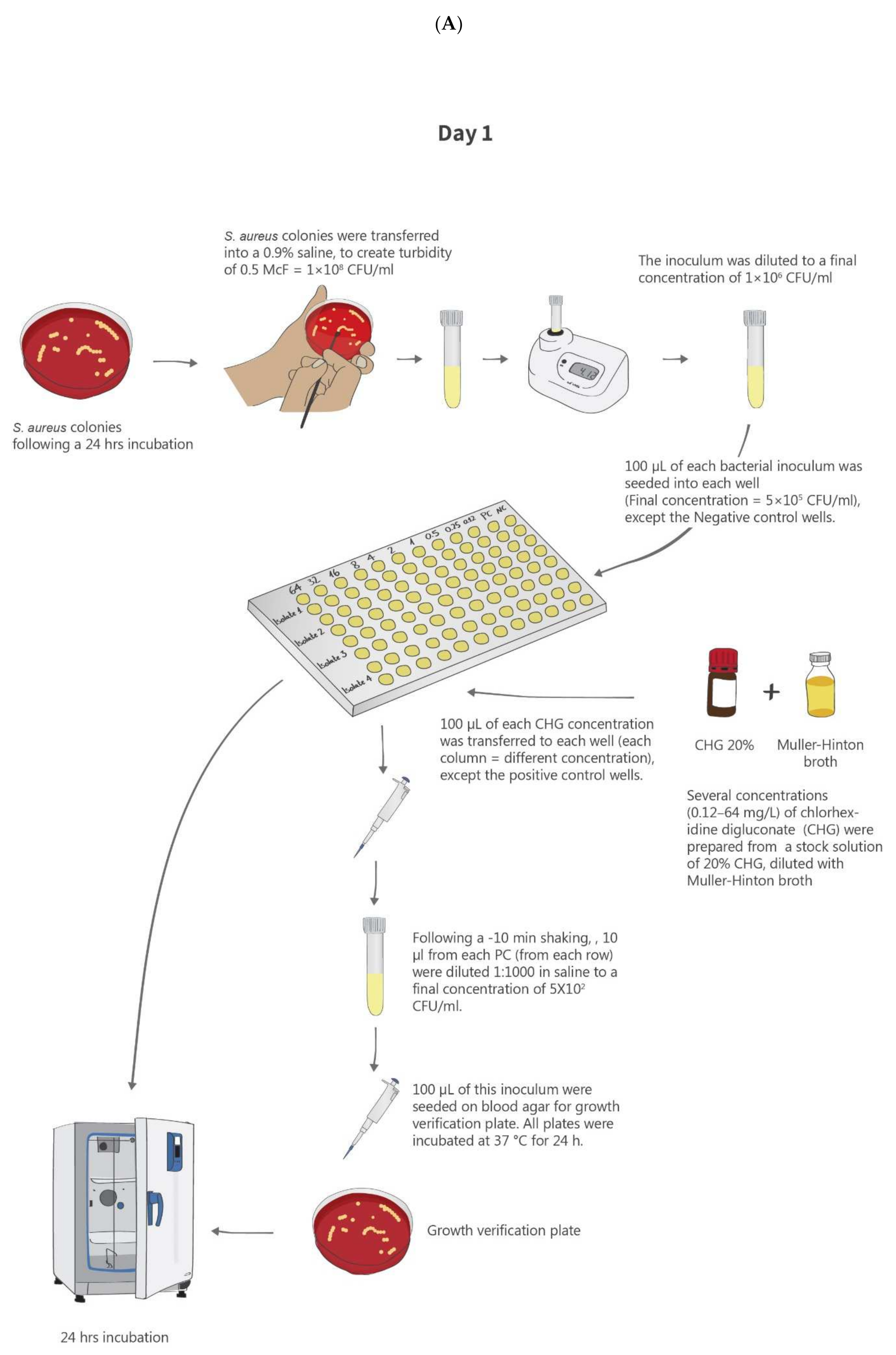 Antibiotics 10 00342 g003a