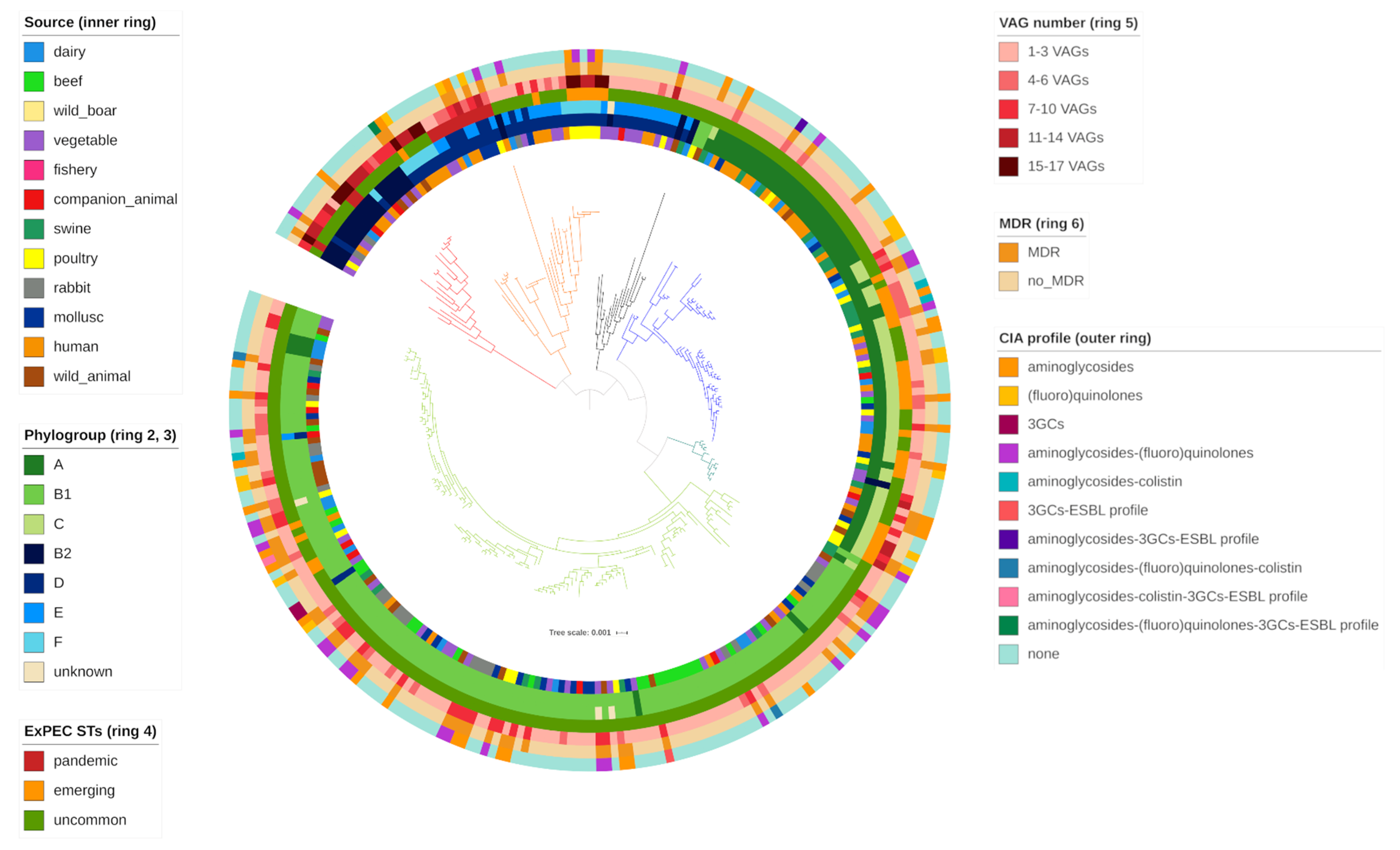 Antibiotics 10 00351 g002