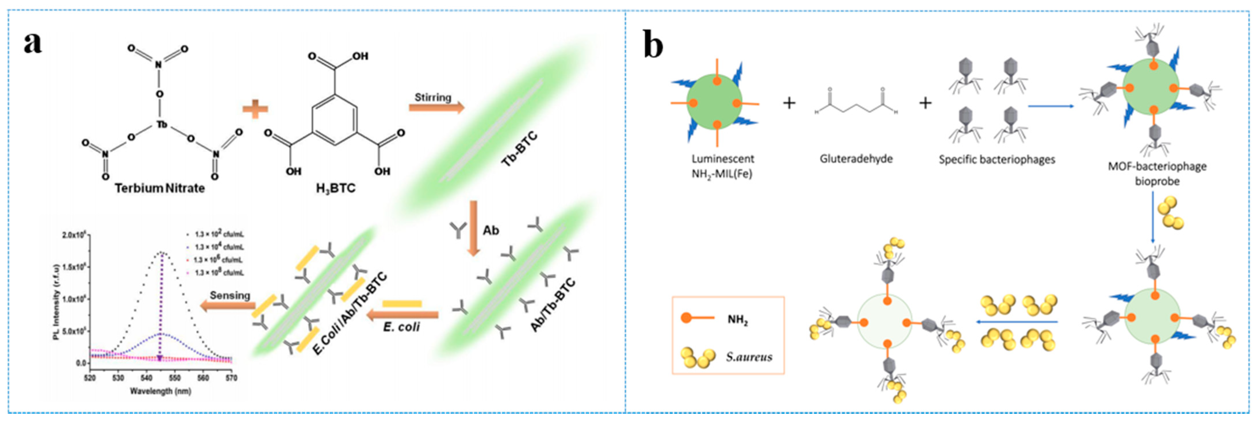 Antibiotics 10 00358 g006 Antibiotics 10 00358 g006
