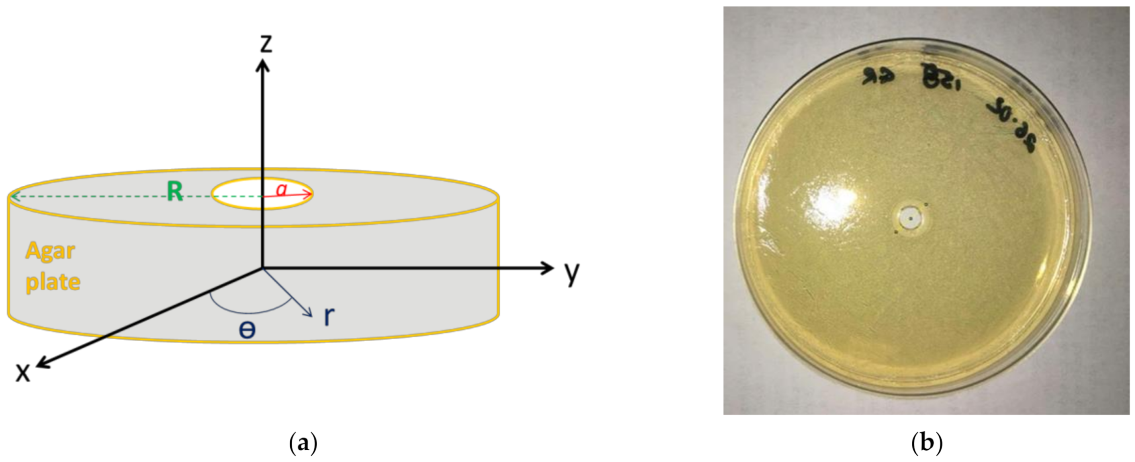Antibiotics 10 00368 g001