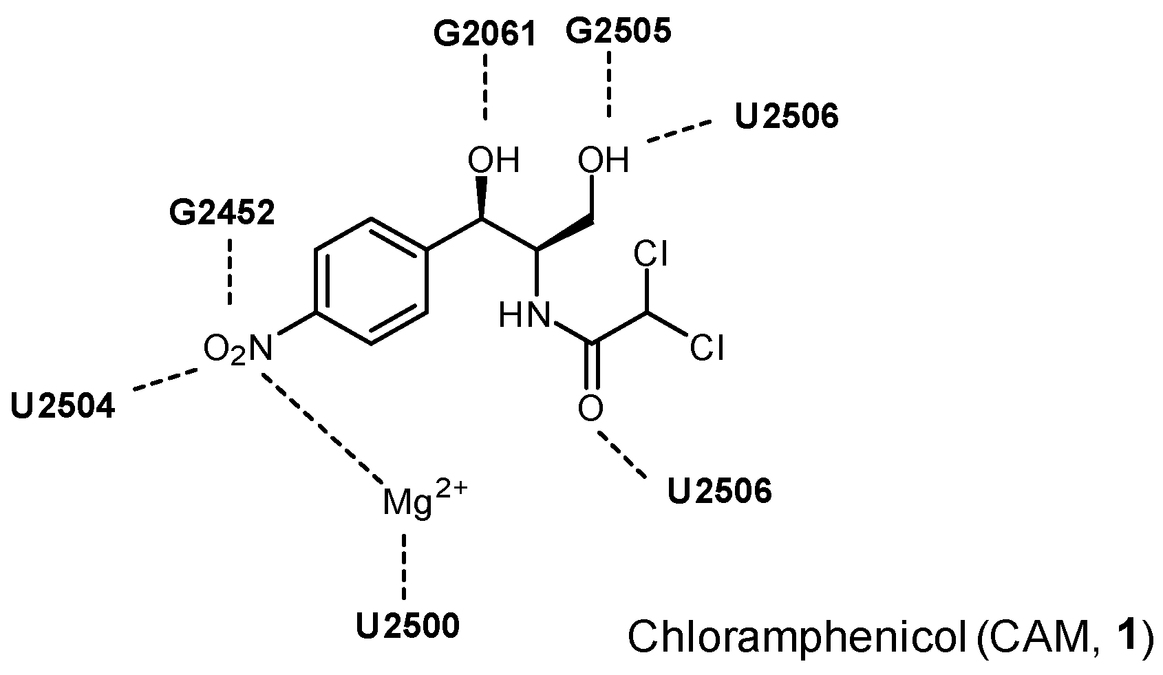 Buy chloromycetin antibiotic