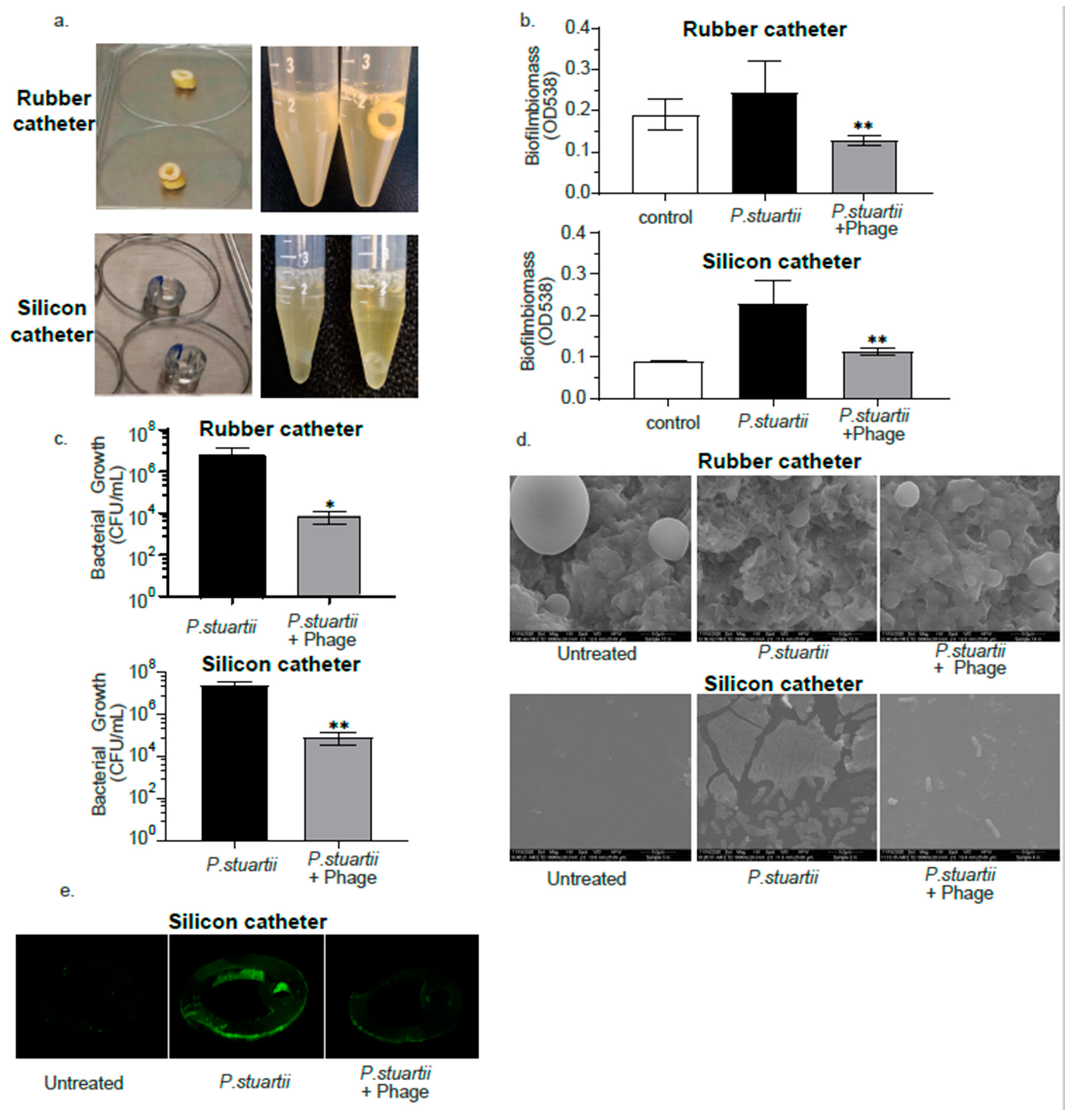Antibiotics 10 00375 g005 Antibiotics 10 00375 g005