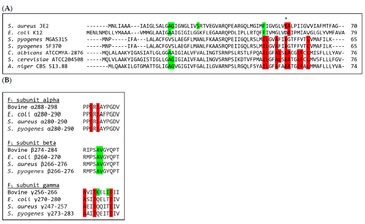 Antibiotics 10 00376 g001 Antibiotics 10 00376 g001