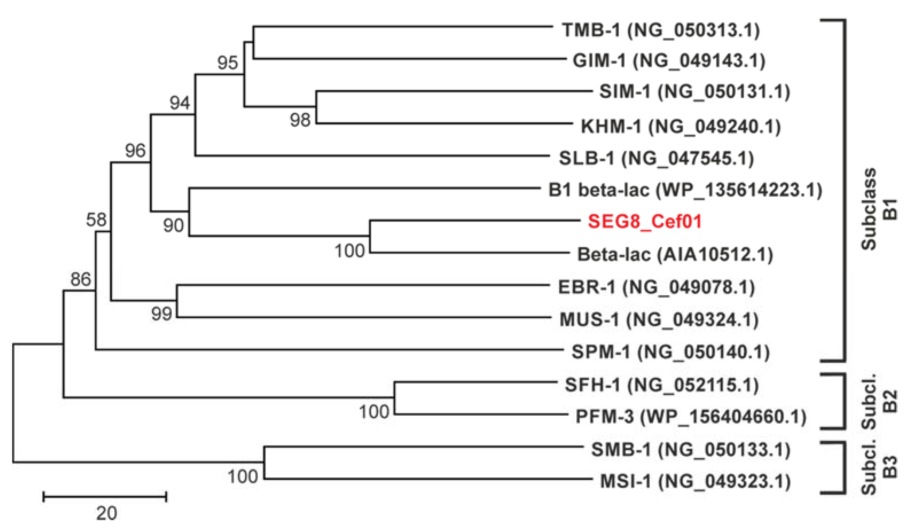 Antibiotics 10 00378 g002