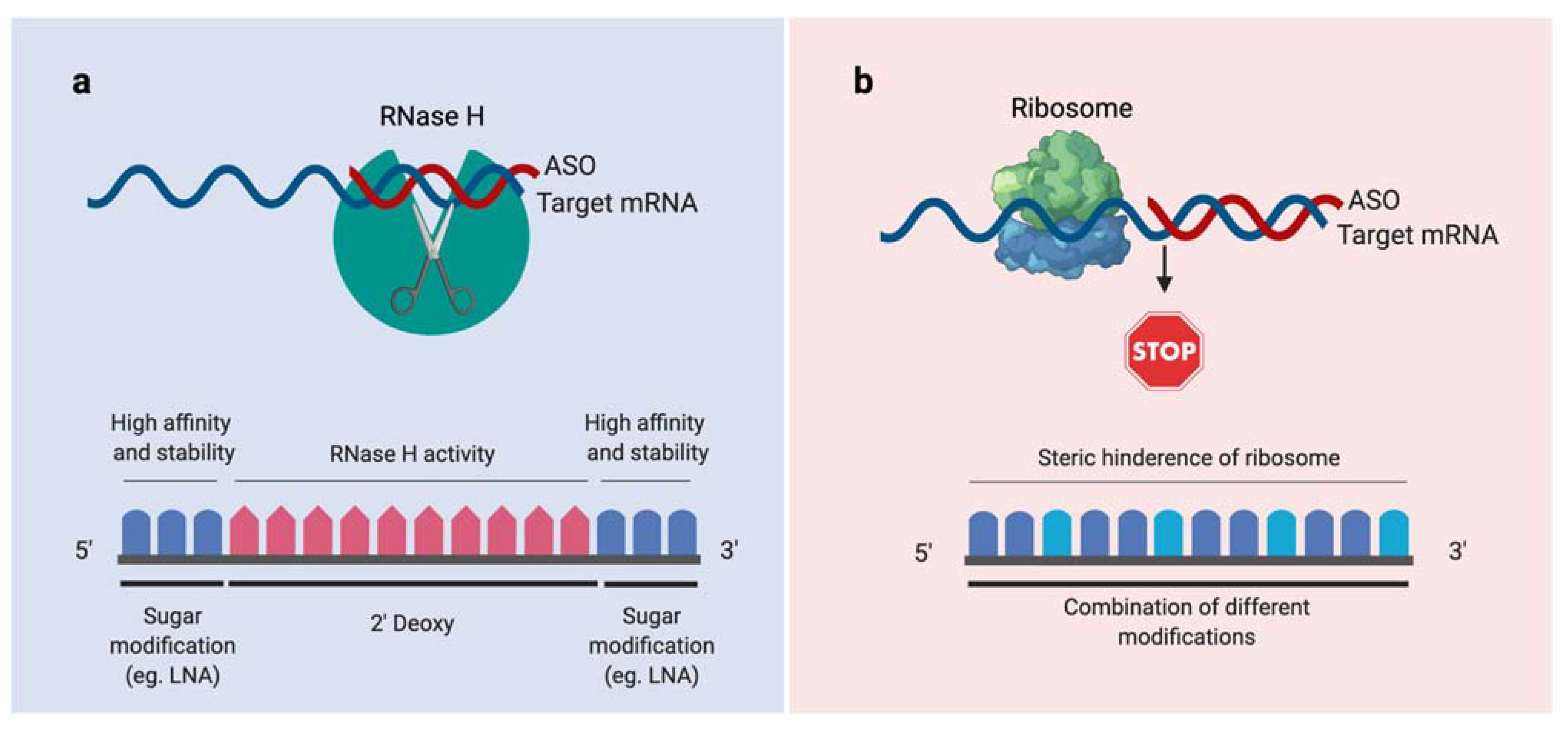 Antibiotics 10 00379 g001 Antibiotics 10 00379 g001