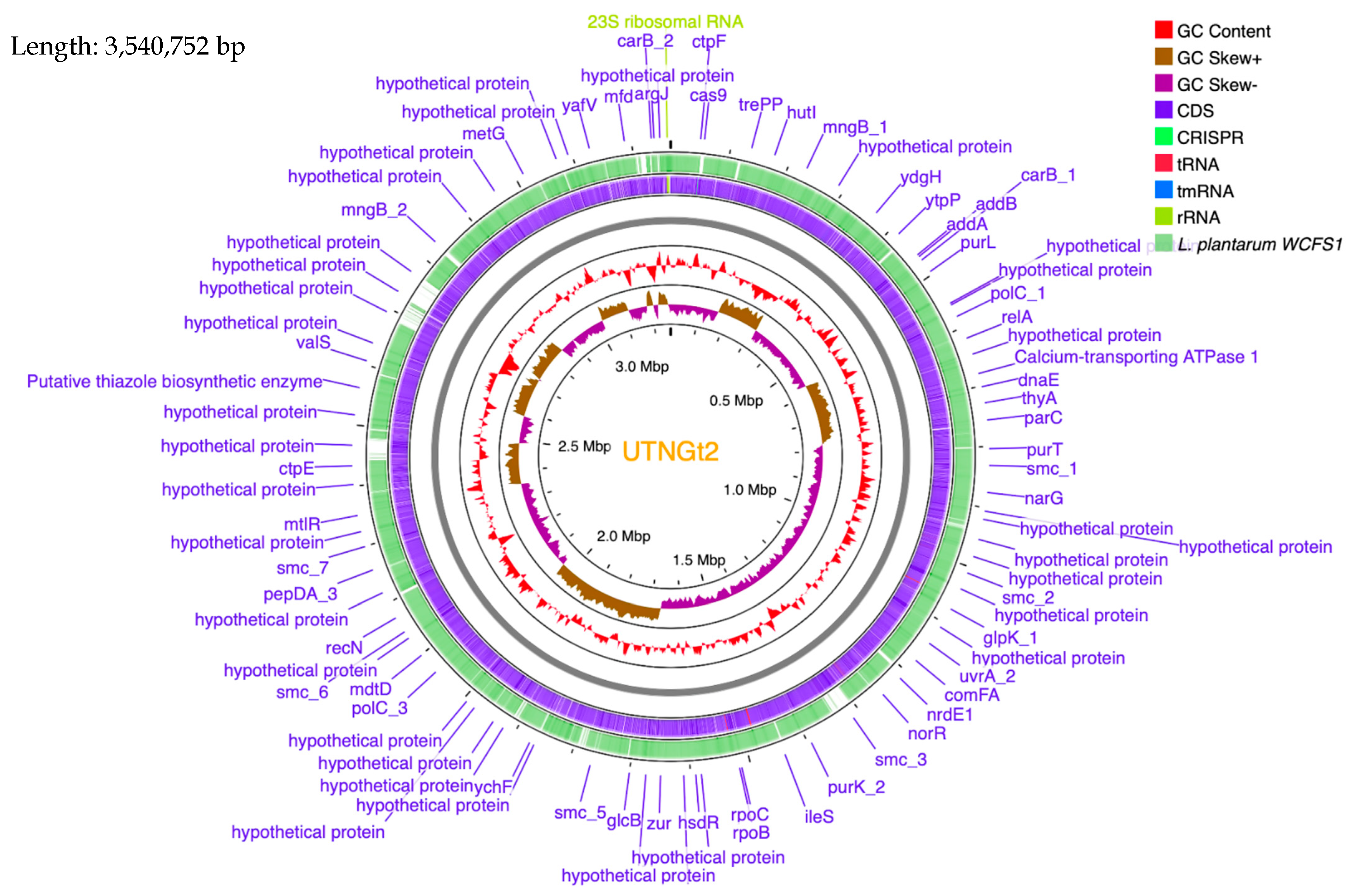 Antibiotics 10 00383 g002