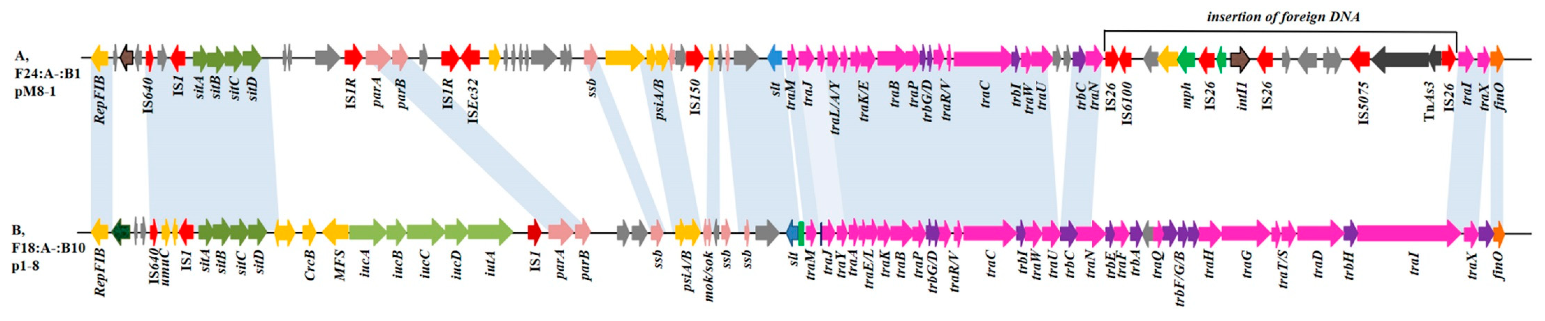 Antibiotics 10 00387 g002 Antibiotics 10 00387 g002
