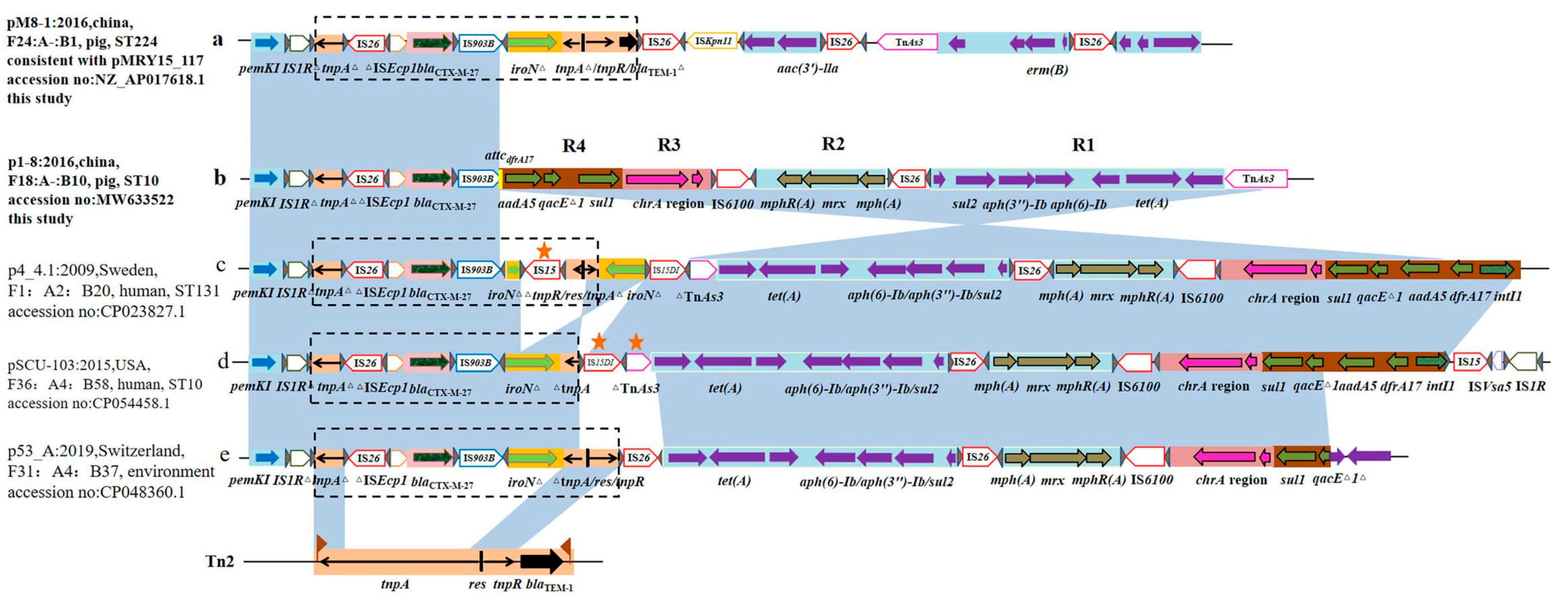 Antibiotics 10 00387 g003 Antibiotics 10 00387 g003