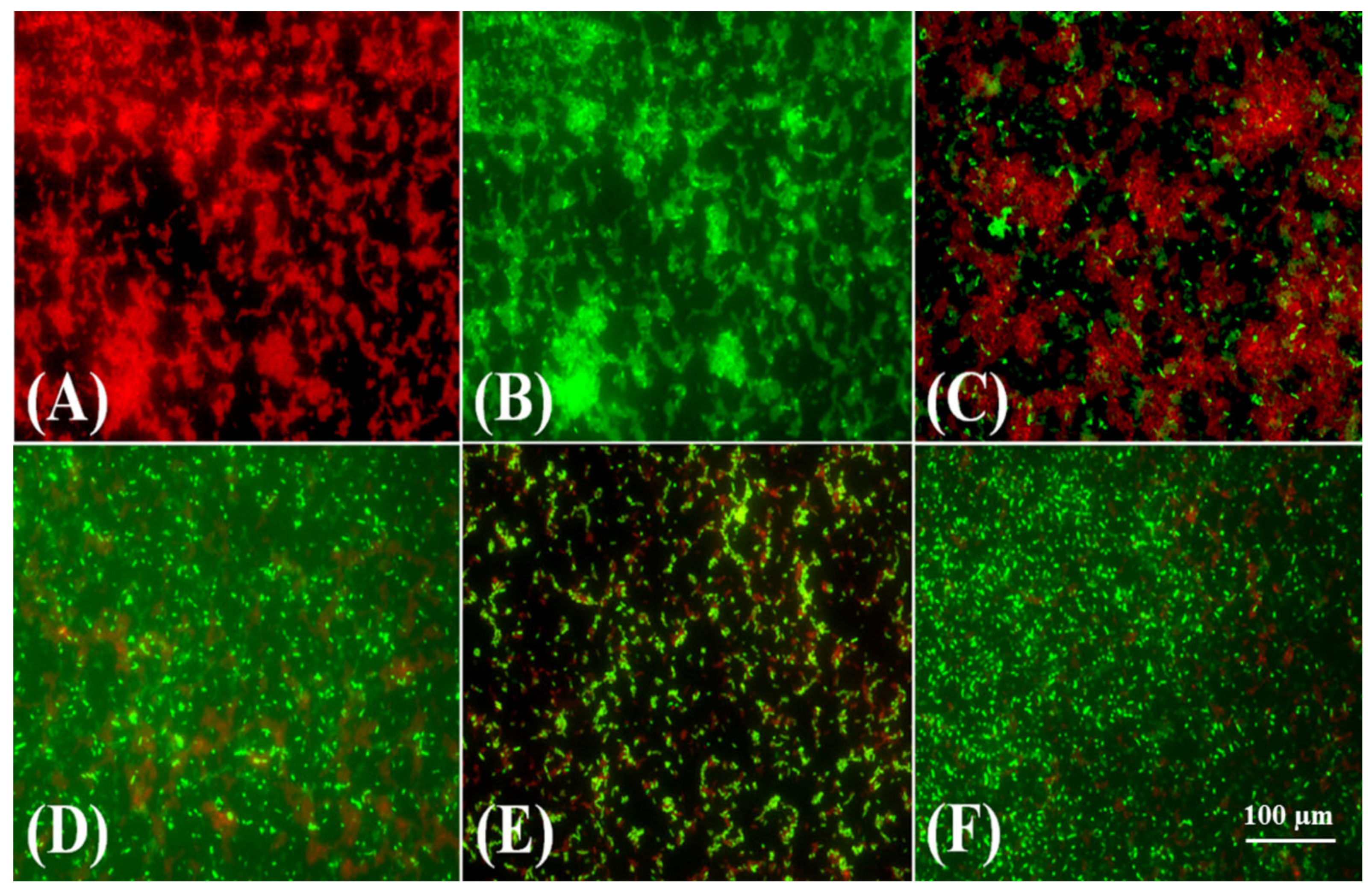 Antibiotics 10 00388 g011 Antibiotics 10 00388 g011