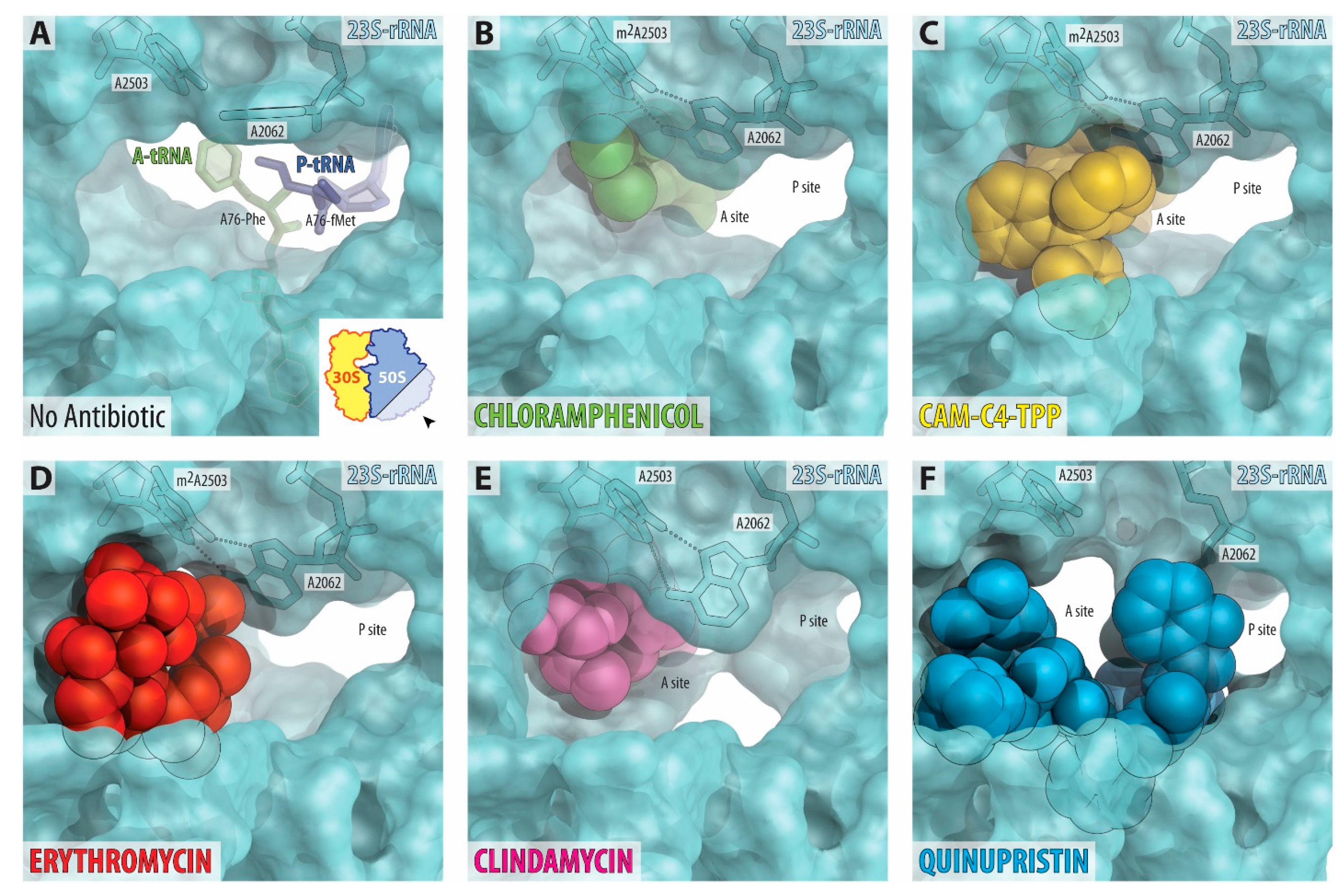 Antibiotics 10 00390 g005 Antibiotics 10 00390 g005