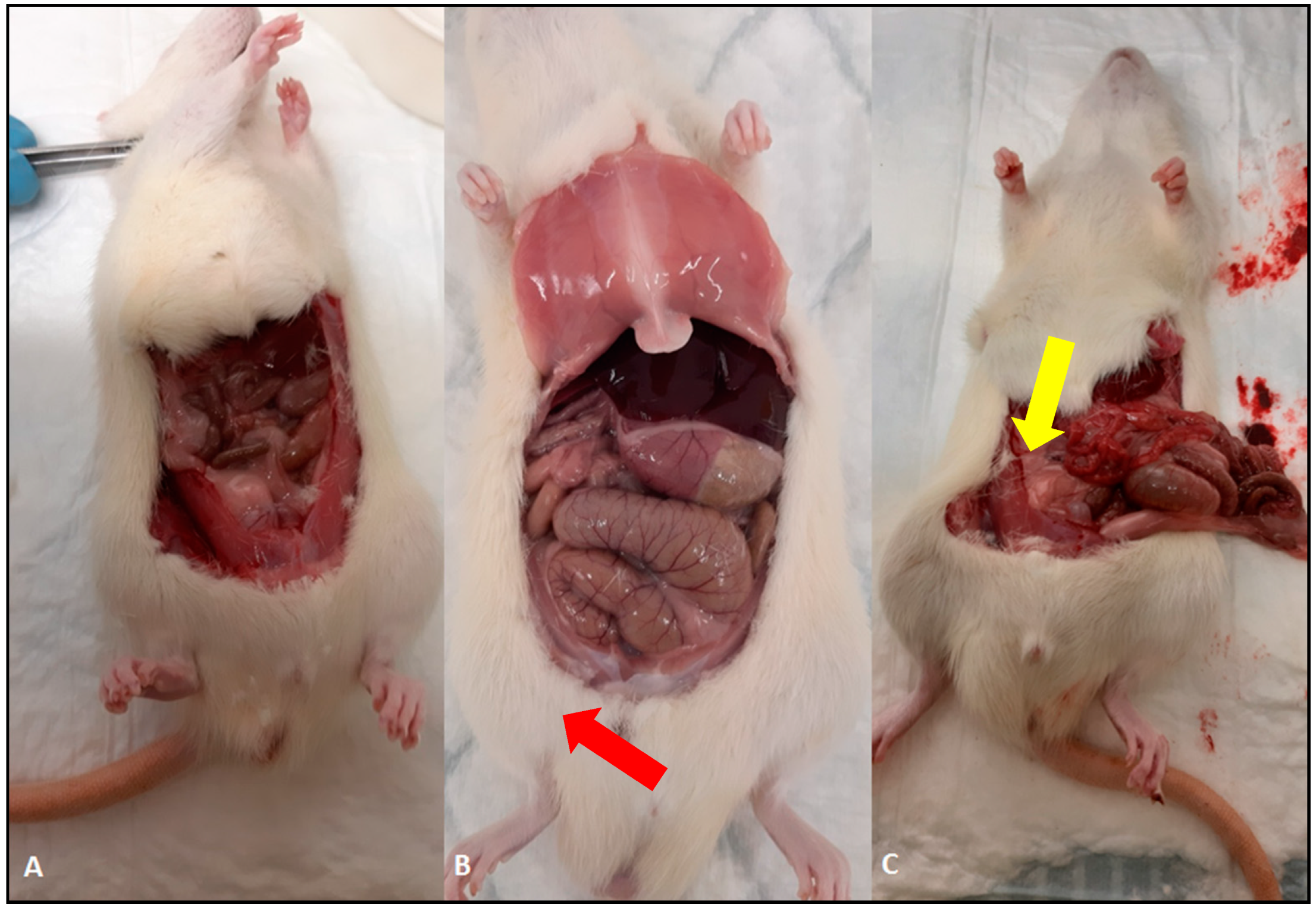 Antibiotics 10 00392 g003