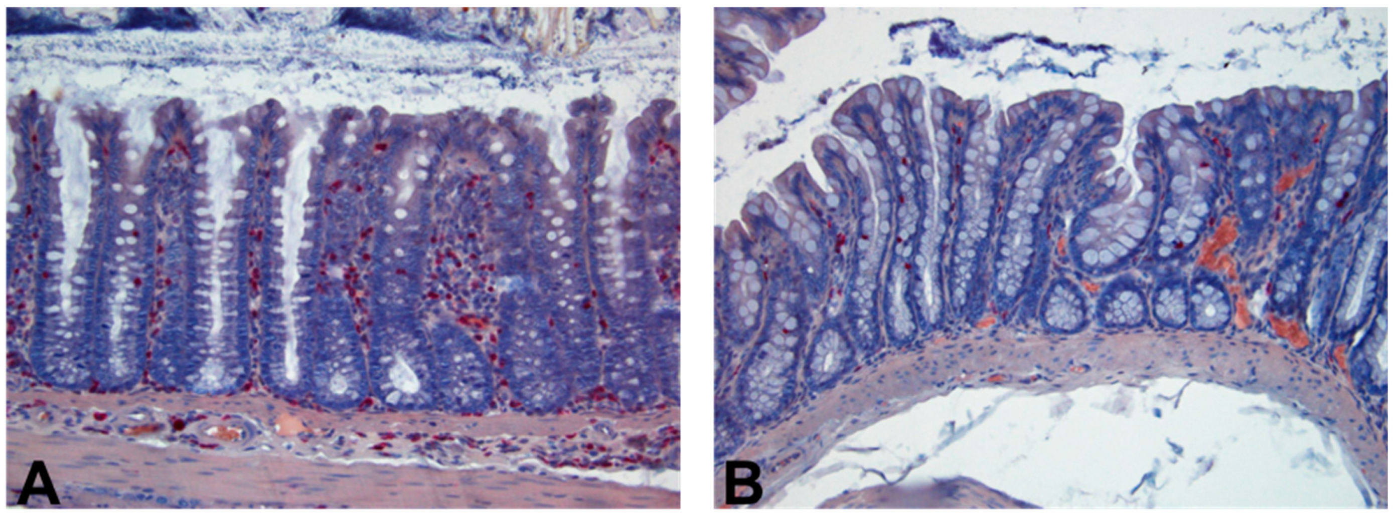 Antibiotics 10 00392 g004