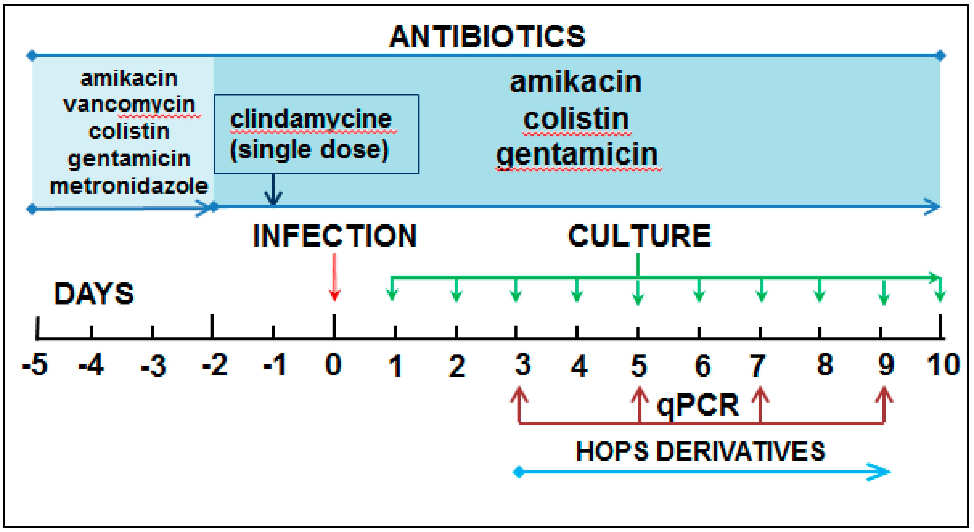 Antibiotics 10 00392 g006