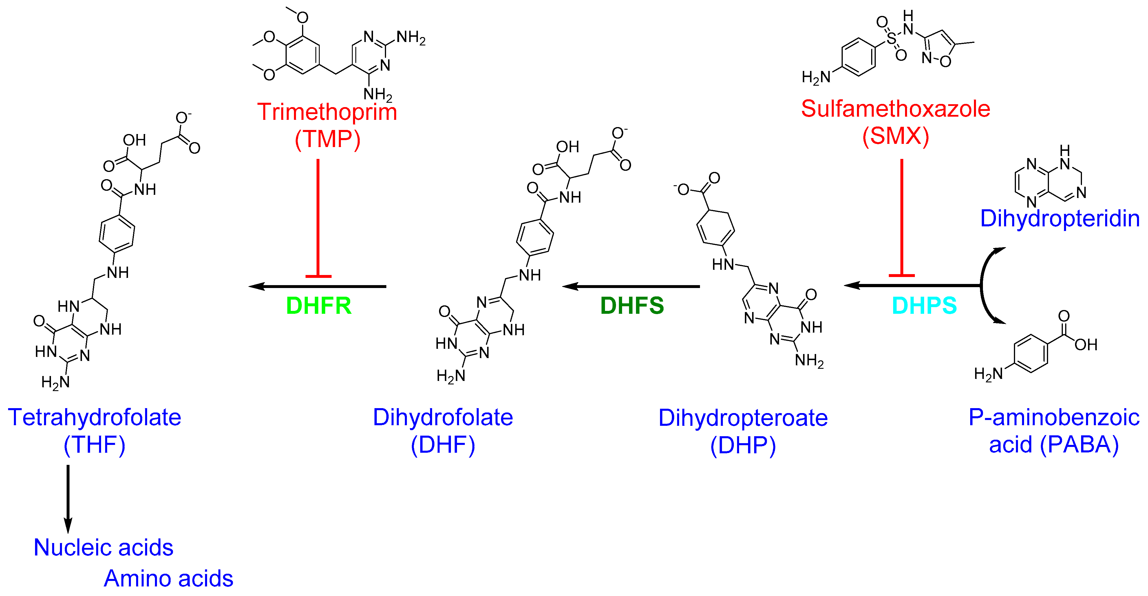 Antibiotics 10 00398 g004 Antibiotics 10 00398 g004